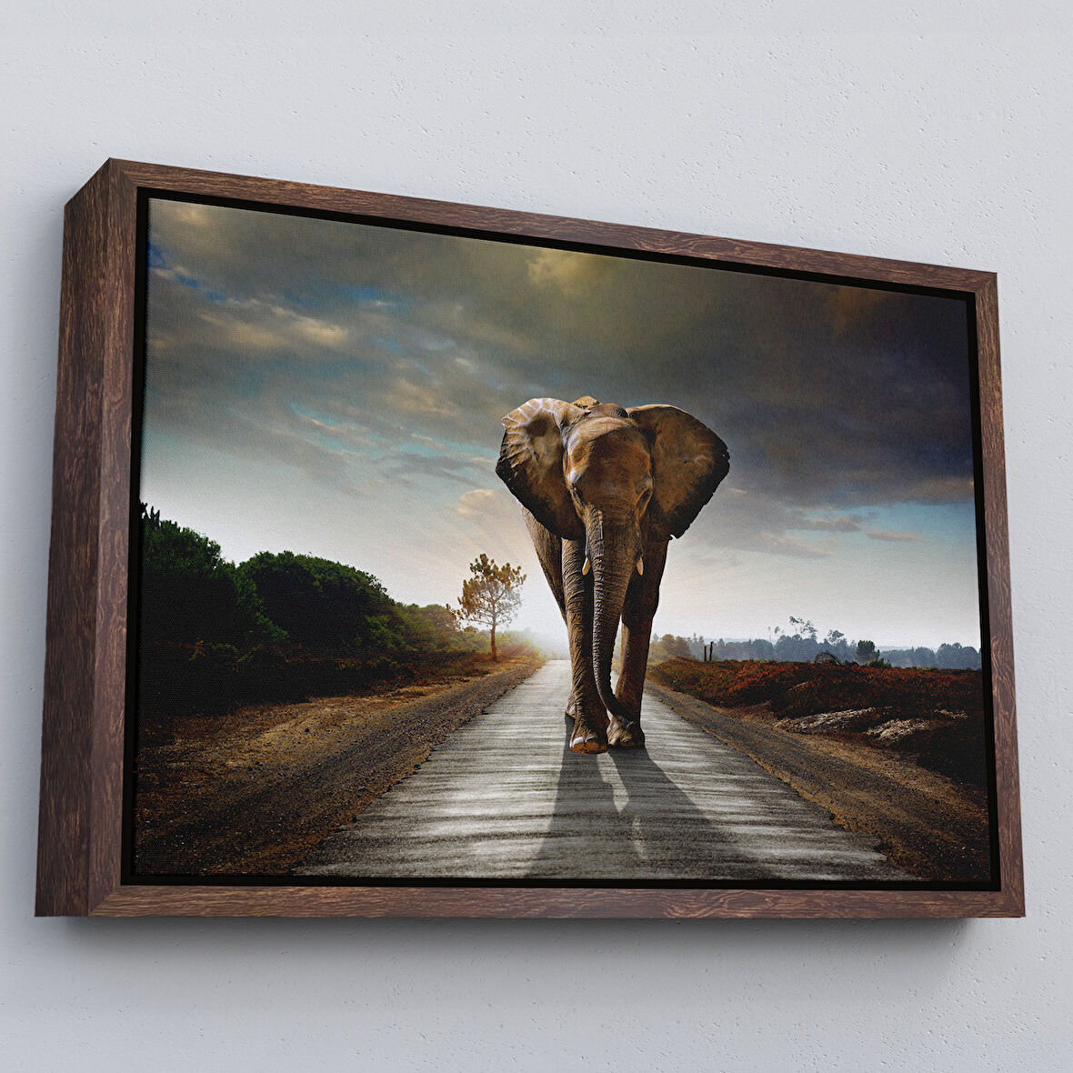 Kahverengi Çerçeveli Fil Dekoratif Kanvas Tablo