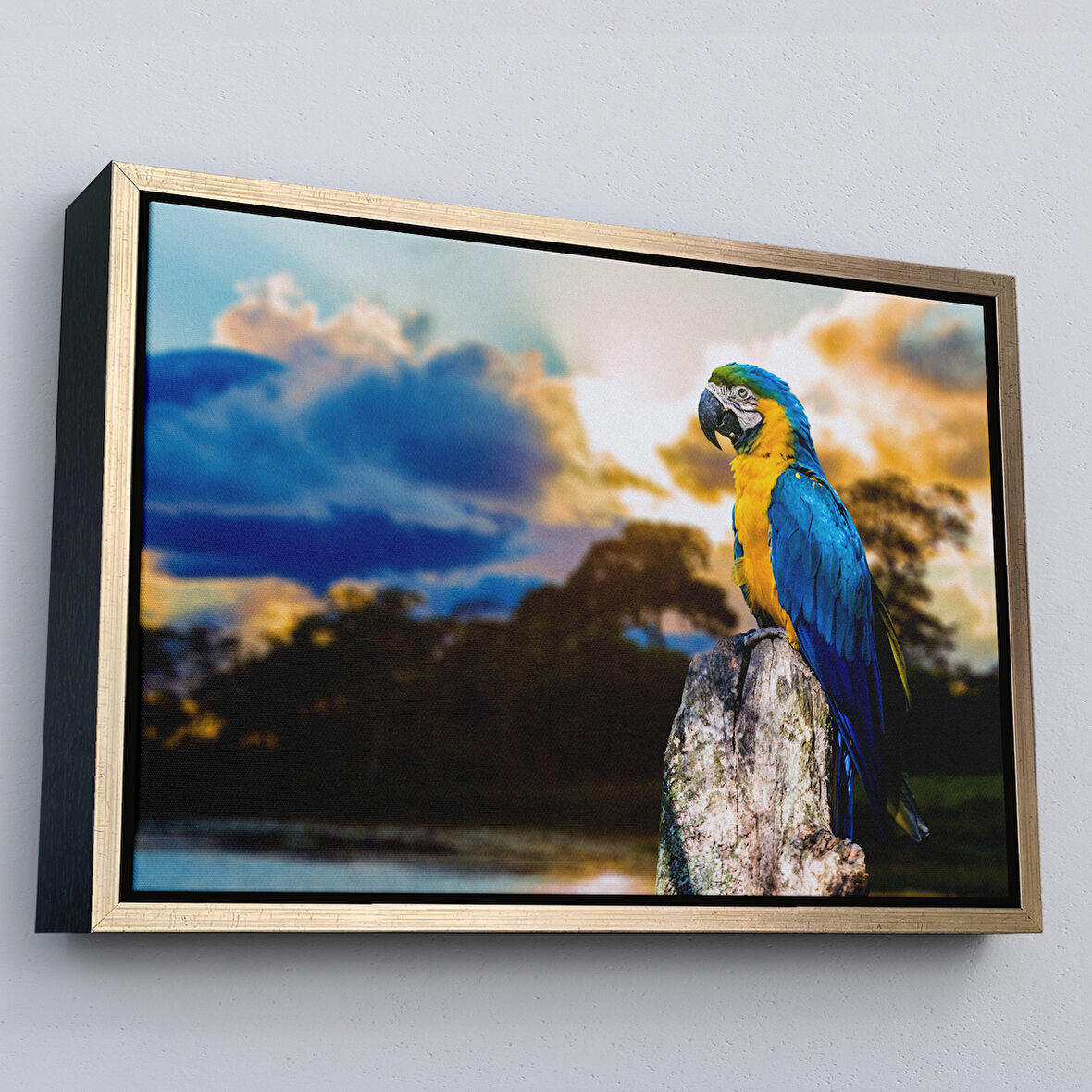 Altın Çerçeveli Papağan Dekoratif Kanvas Tablo