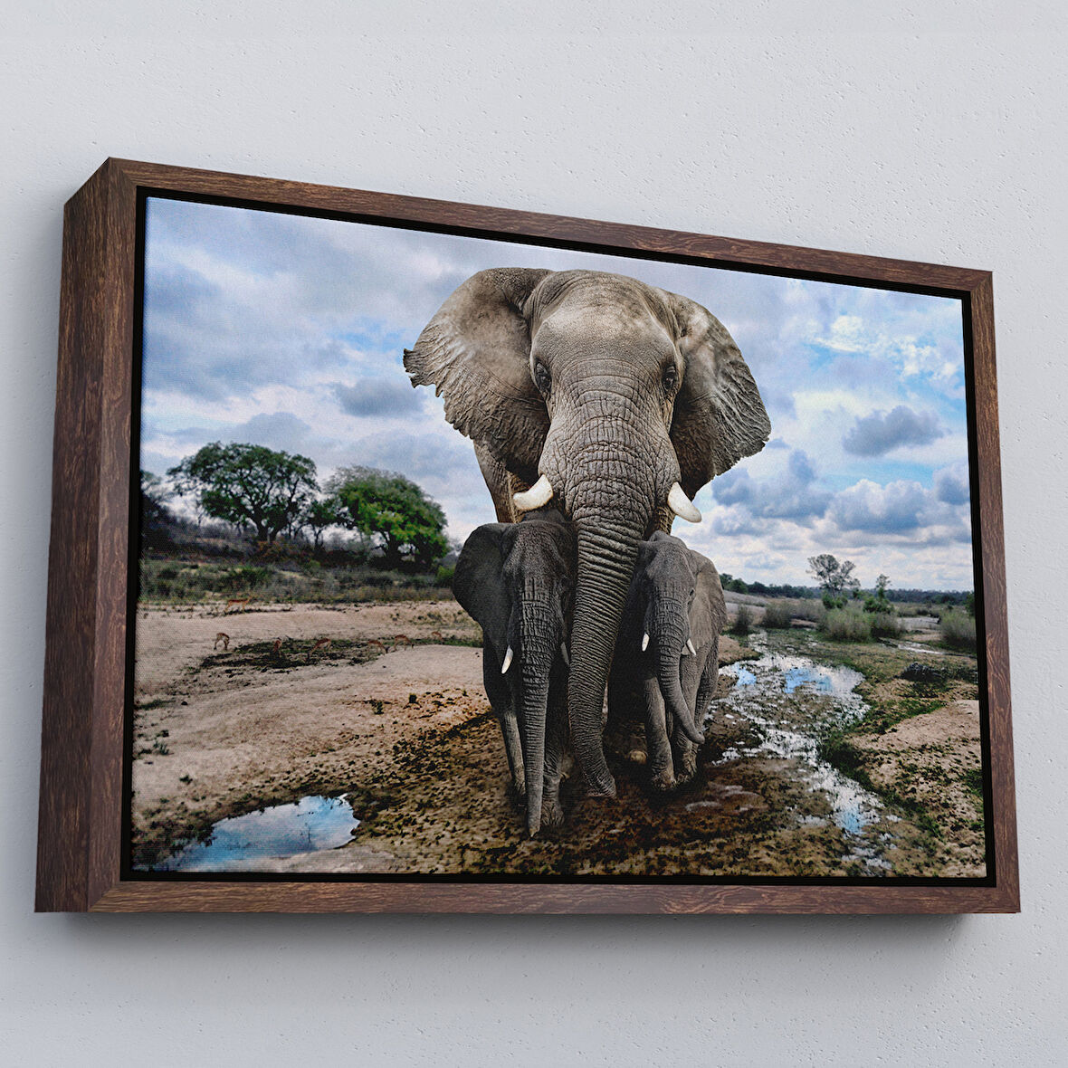 Kahverengi Çerçeveli Fil ve Yavruları Dekoratif Kanvas Tablo