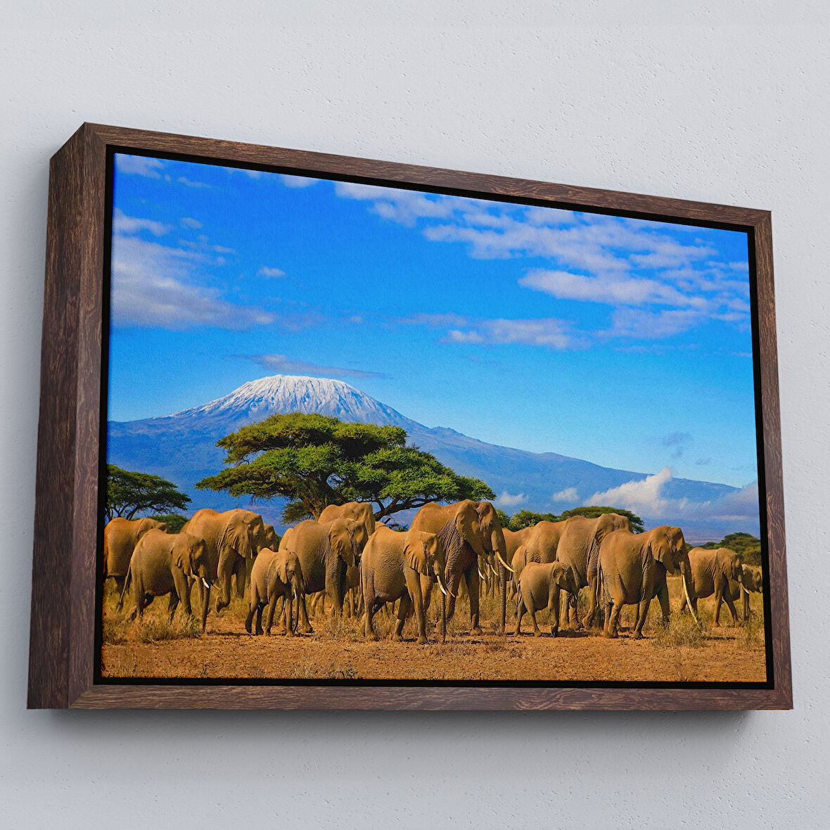 Kahverengi Çerçeveli Fil Sürüsü Dekoratif Kanvas Tablo