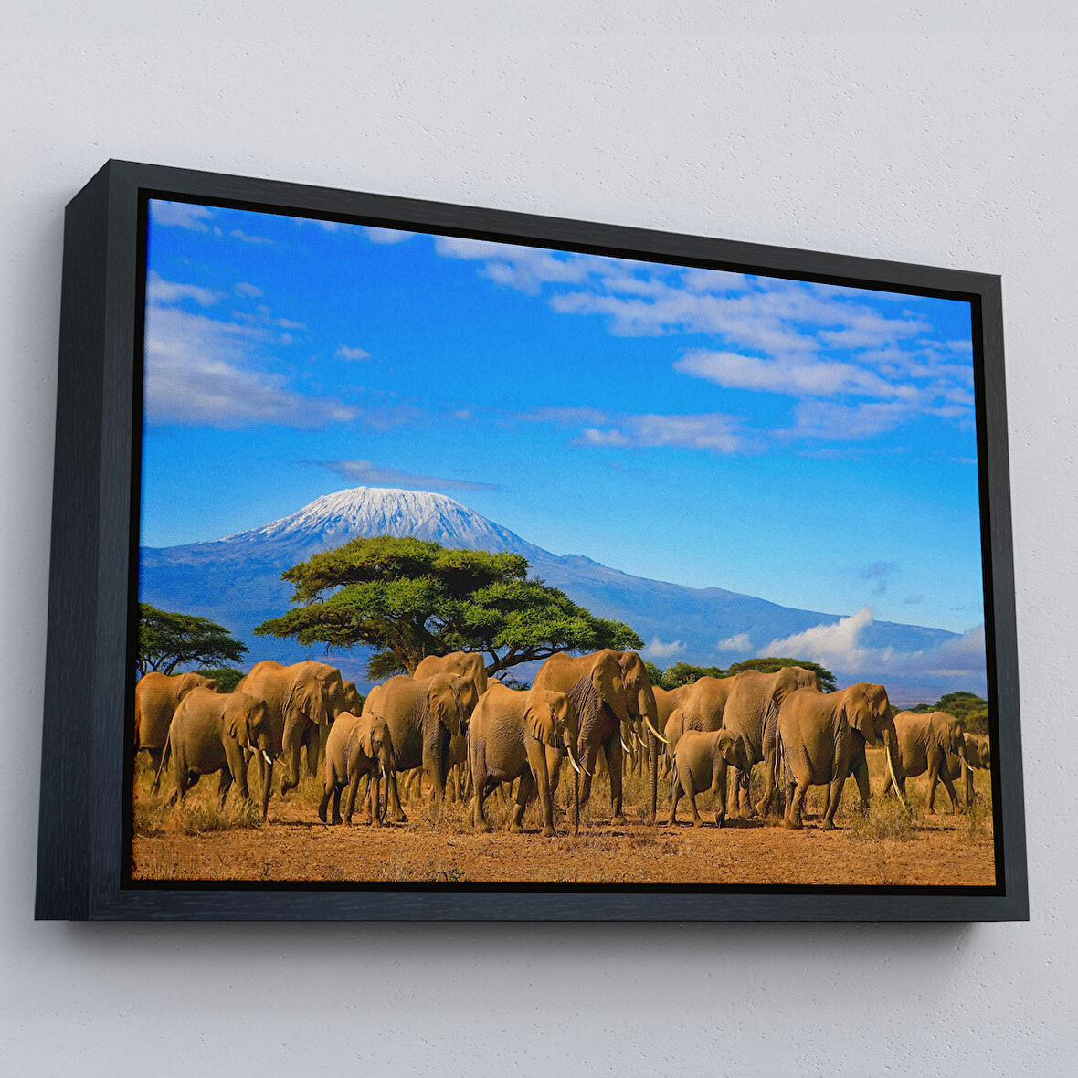 Siyah Çerçeveli Fil Sürüsü Dekoratif Kanvas Tablo