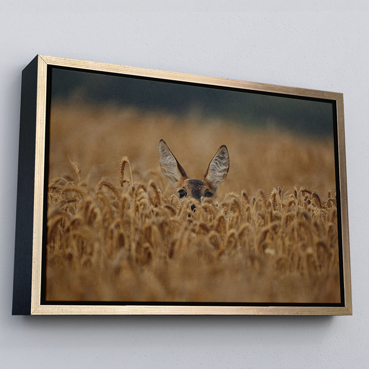 Altın Çerçeveli Ceylan Dekoratif Kanvas Tablo