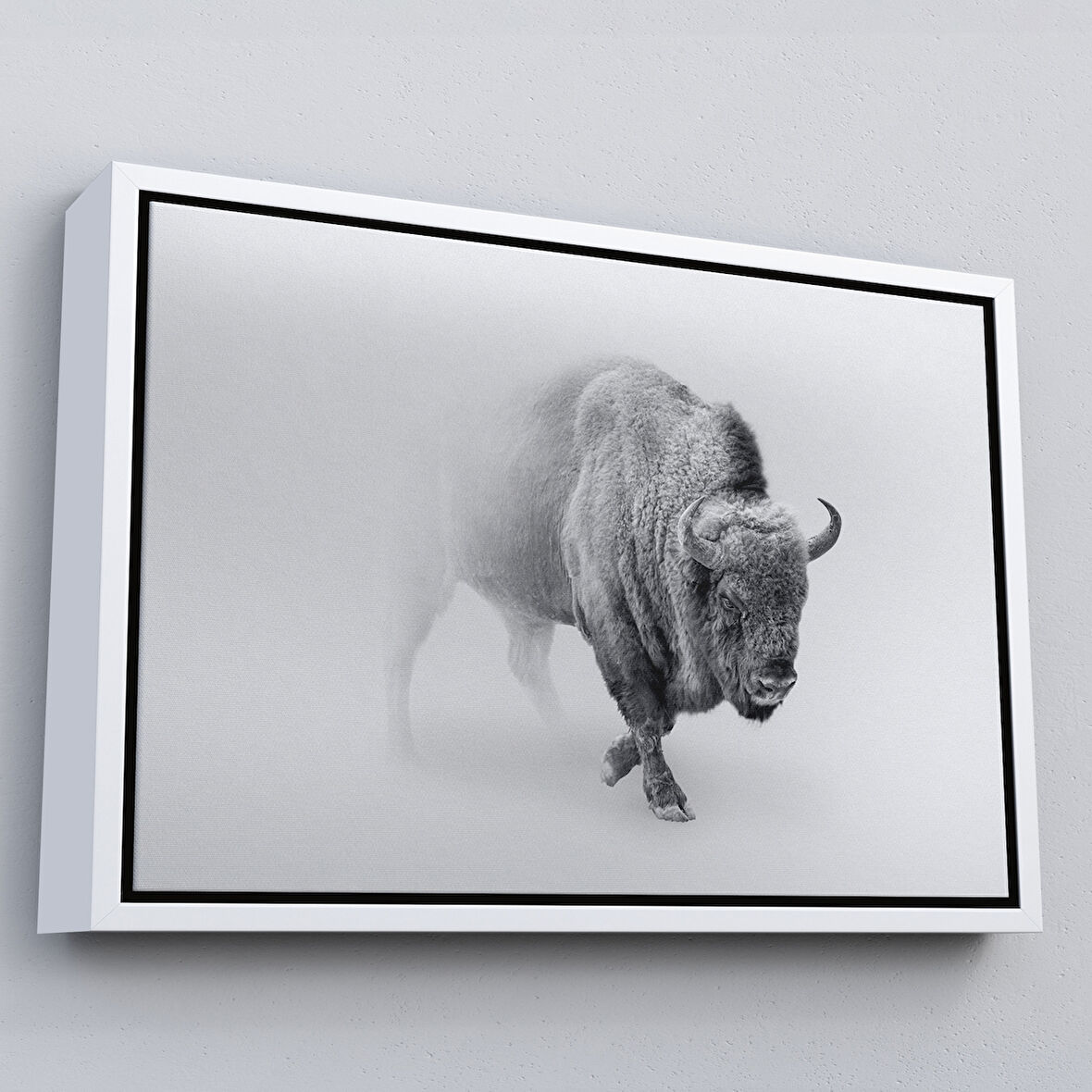 Beyaz Çerçeveli Bizon Dekoratif Kanvas Tablo