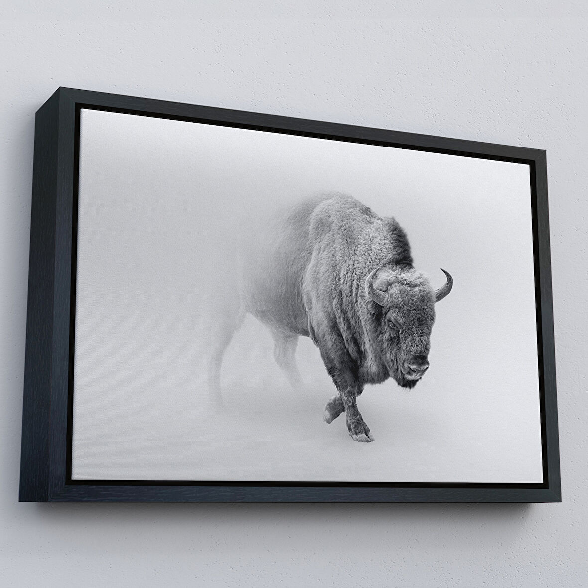 Siyah Çerçeveli Bizon Dekoratif Kanvas Tablo