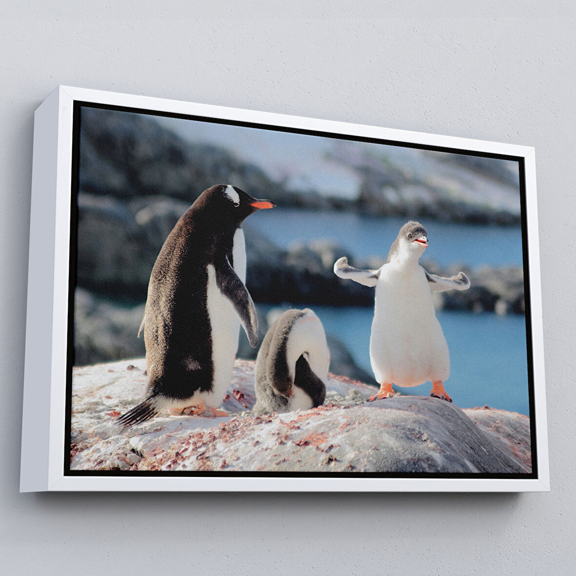 Beyaz Çerçeveli Mutlu Penguenler Dekoratif Kanvas Tablo