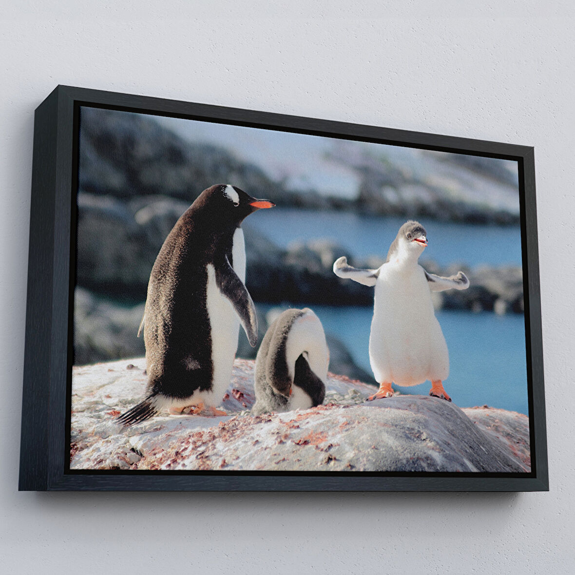 Siyah Çerçeveli Mutlu Penguenler Dekoratif Kanvas Tablo