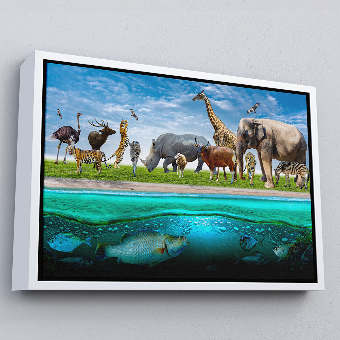 Beyaz Çerçeveli Hayvanlar Alemi Dekoratif Kanvas Tablo
