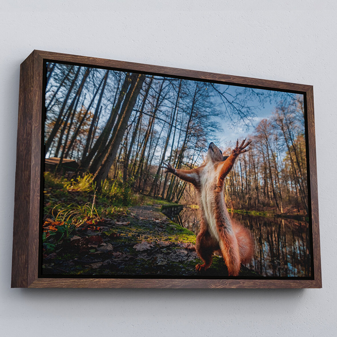 Kahverengi Çerçeveli Sincap Dekoratif Kanvas Tablo