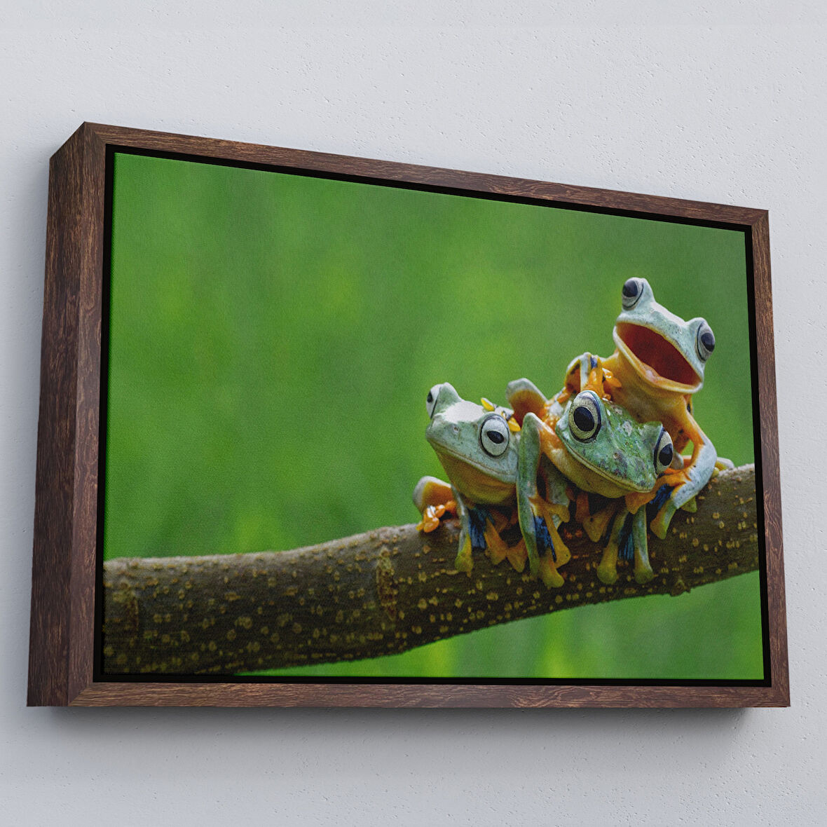 Kahverengi Çerçeveli Küçük Kurbağalar Dekoratif Kanvas Tablo