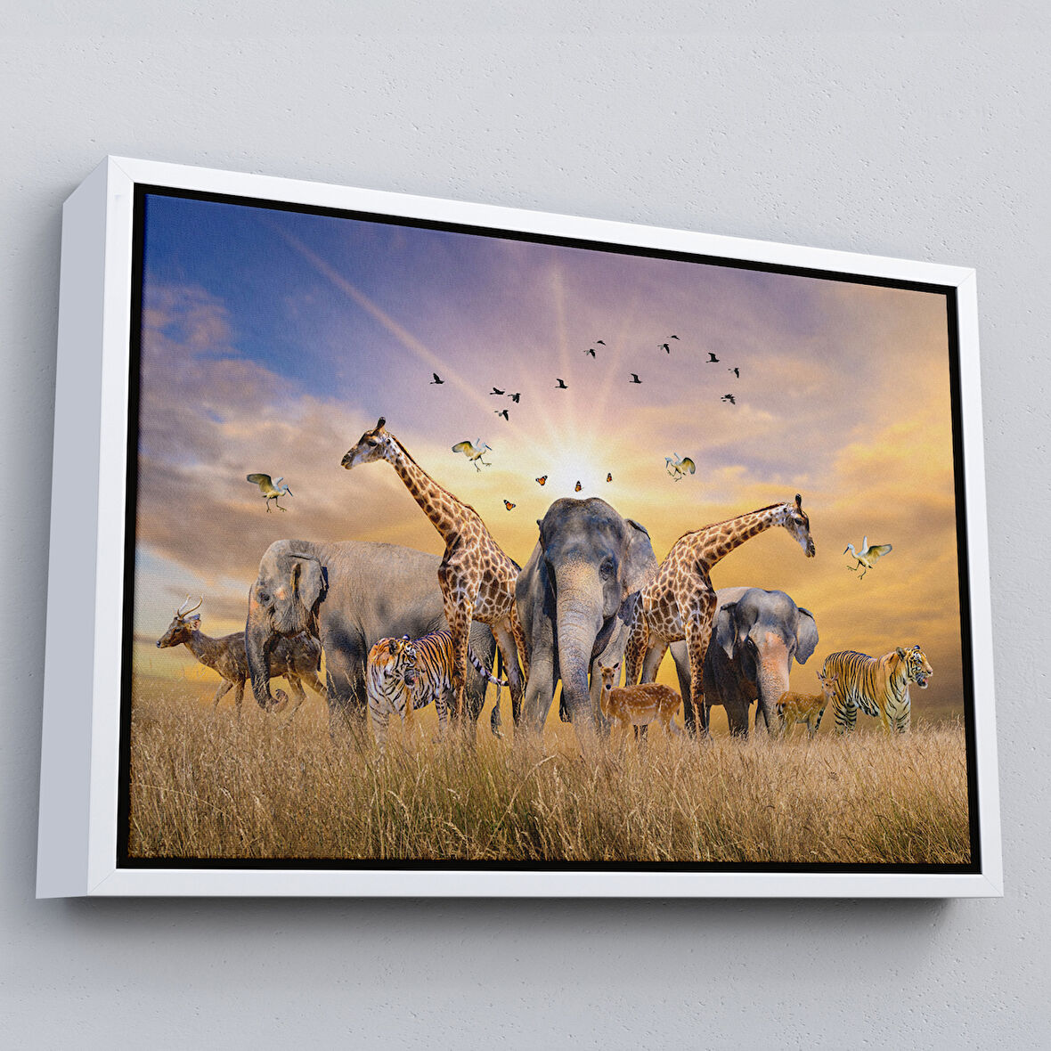 Beyaz Çerçeveli Hayvanlar Alemi Dekoratif Kanvas Tablo