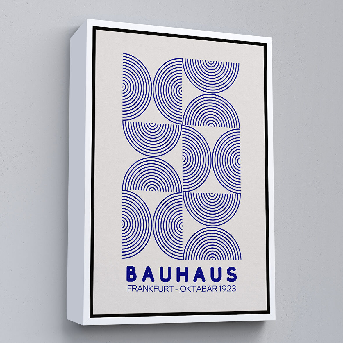 Beyaz Çerçeveli Sevimli Aslan Tablosu