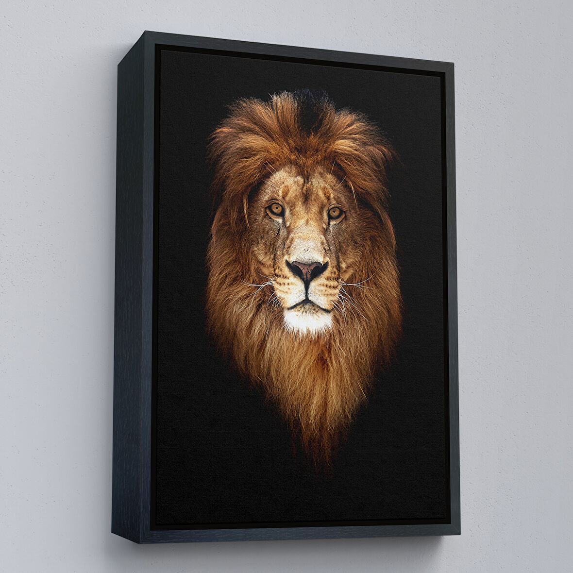 Siyah Çerçeveli Aslan Dekoratif Kanvas Tablo