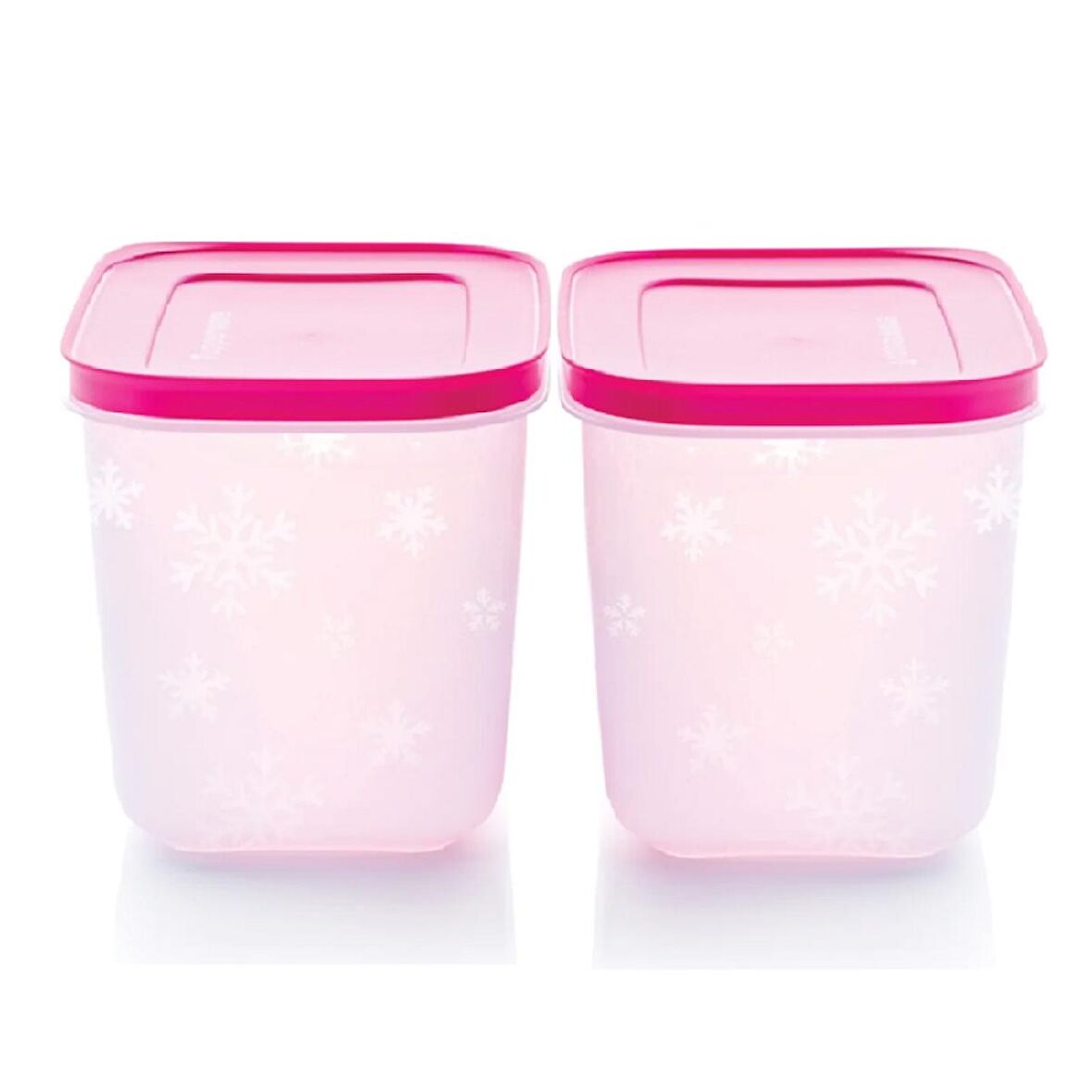 Tupperware ALASKA SET 2 x 1.1 Lt Buzluk dondurucu Saklama Kabı HSGL