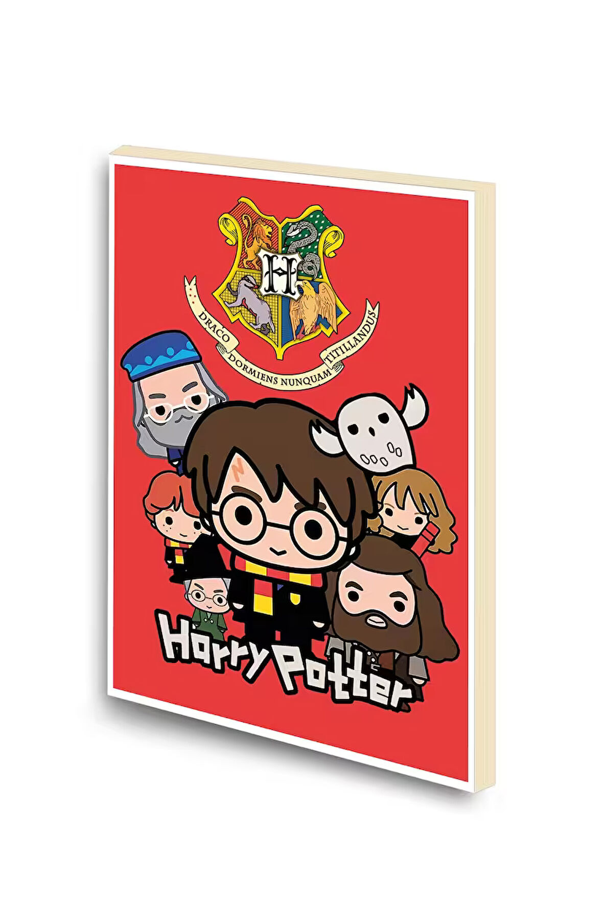 Harry Potter Baskılı A6 Küçük Boy Çizgisiz Defter
