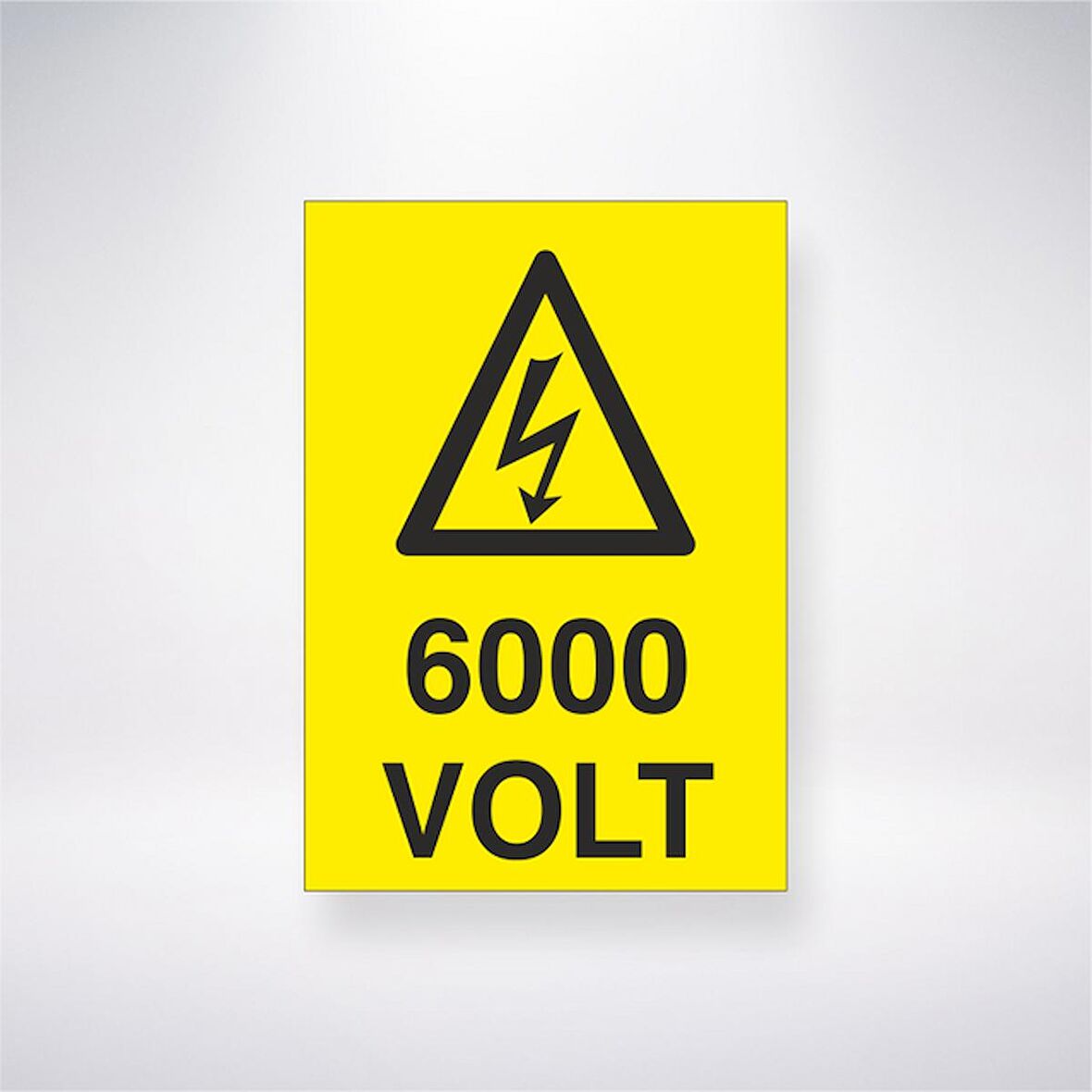 6000 Volt