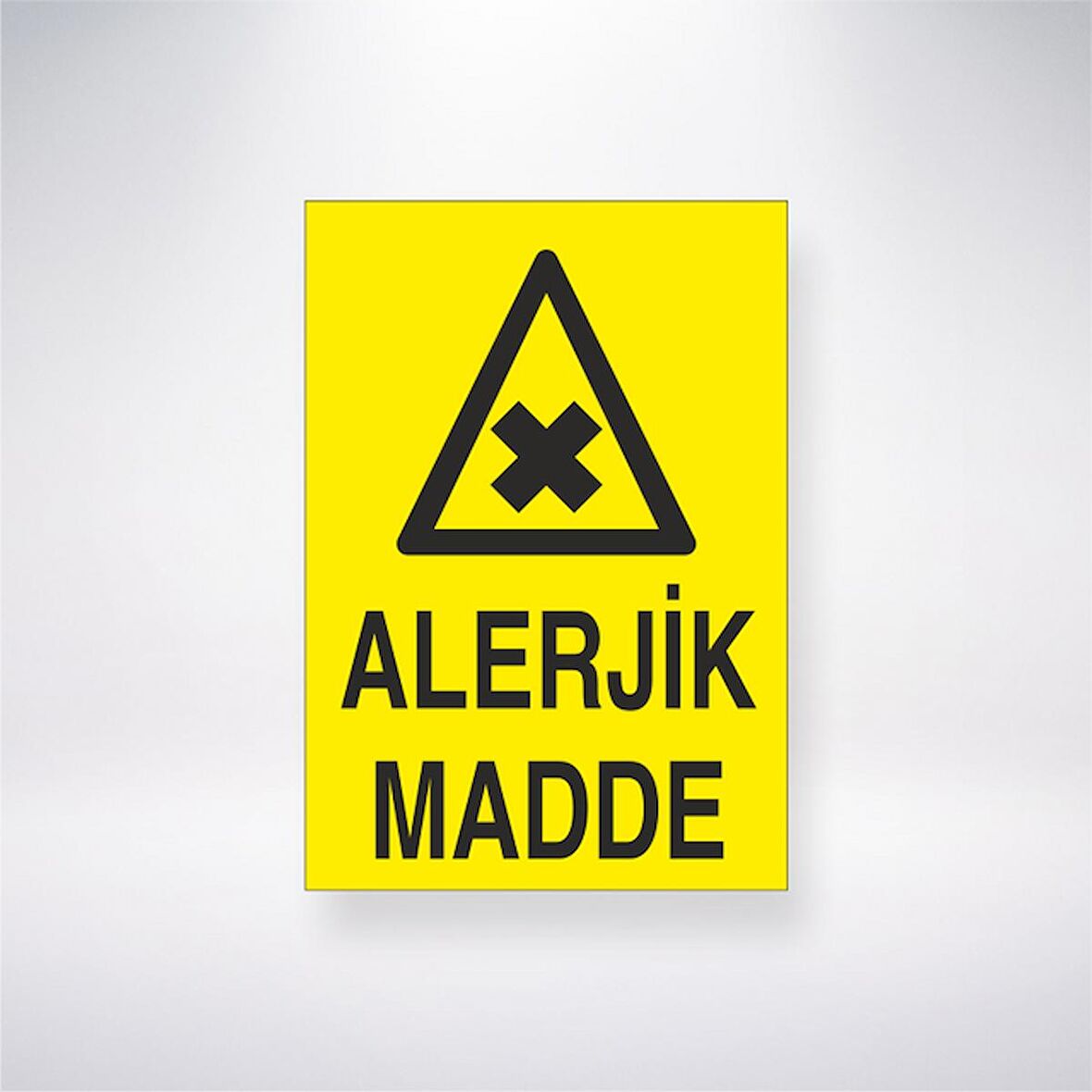Alerjik Madde