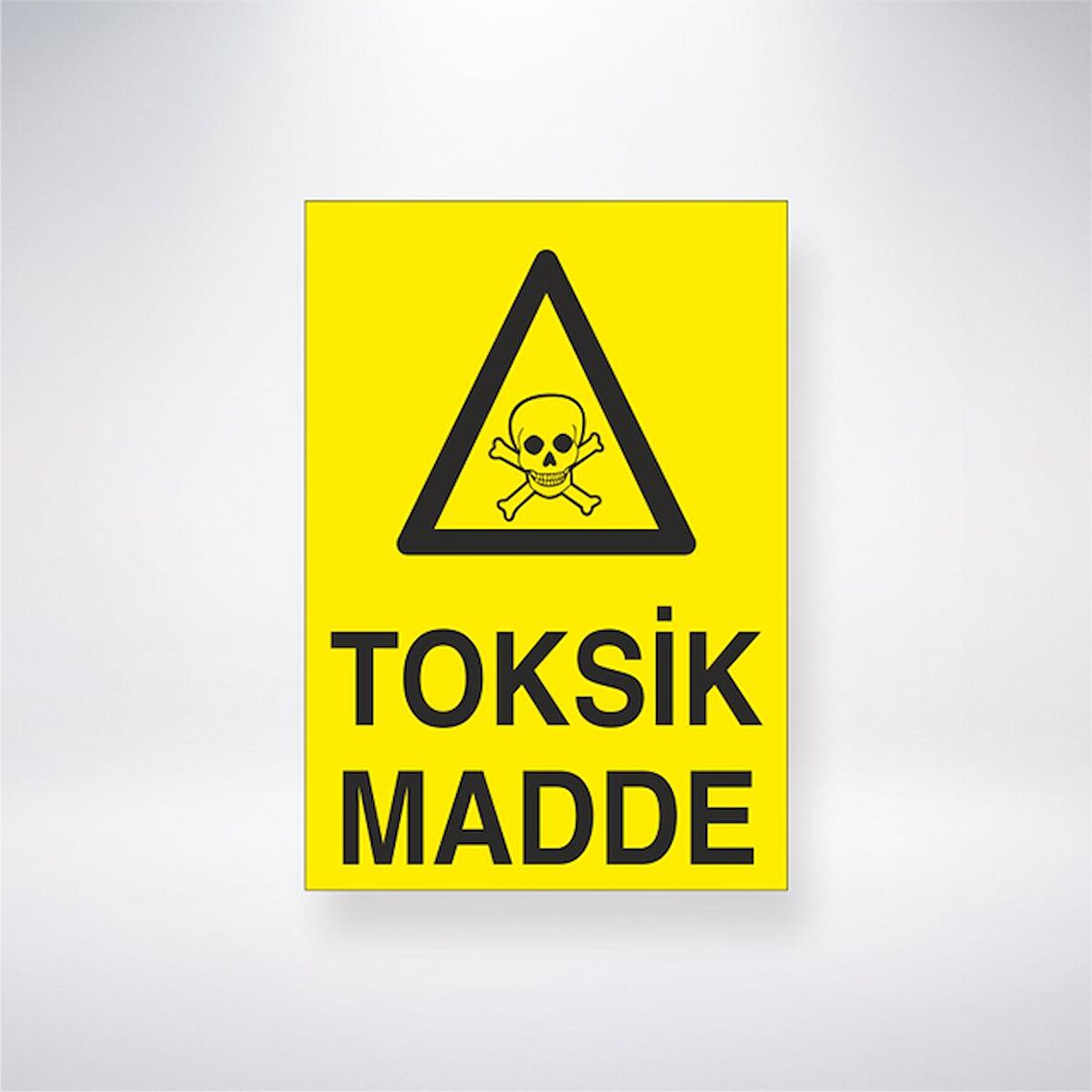 Toksik Madde