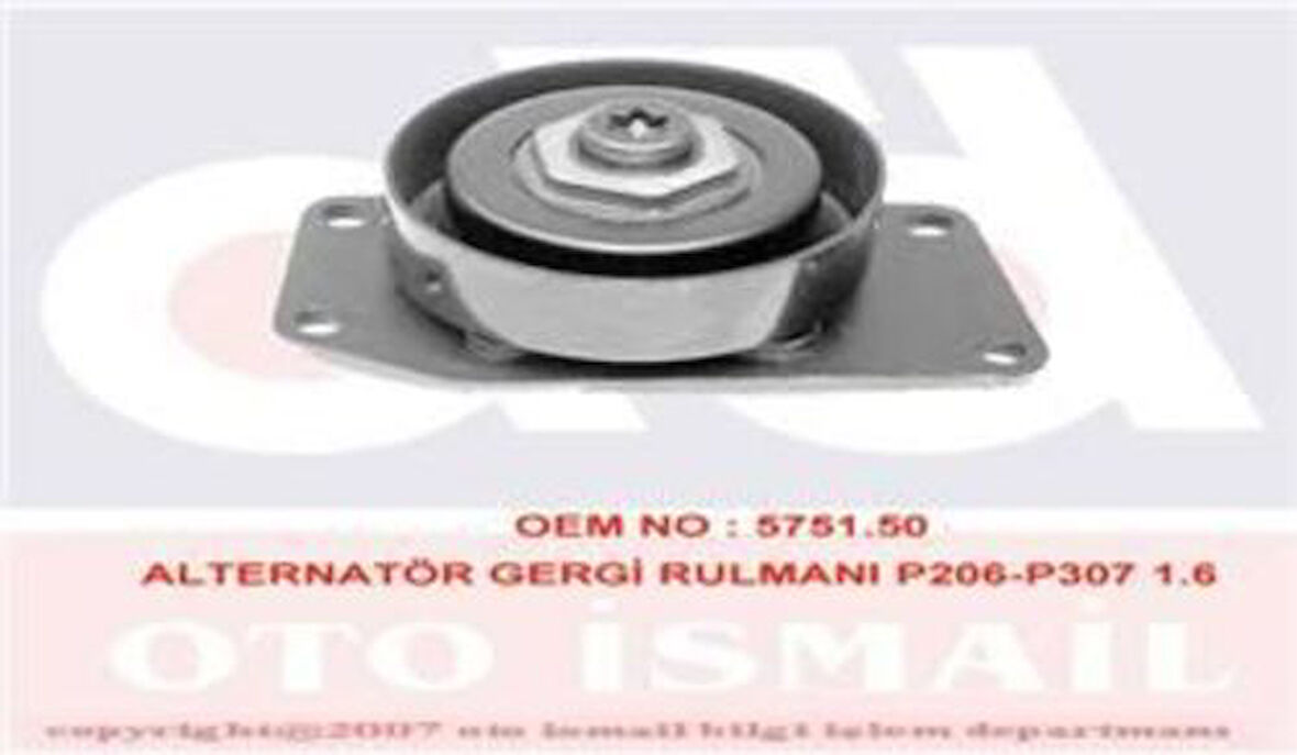 Ina 531030610 Alternatör Gergi Rulmanı Partner Berlıngo 1.4 1.6 1.6 16V P206 Xsara 1.4I 1.6 1.6 16V 97 05