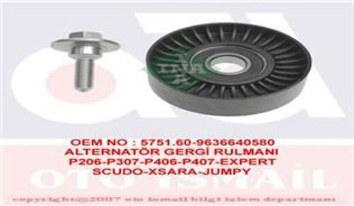 Ina 532043910 Alternatör Gergi Rulmanı P206 307 406 407 607 807 Expert C5 C8 Jumpy 1.8 16V 2.0 16V 2.0 2.1