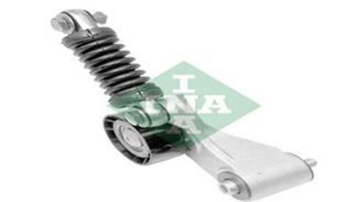 Ina 534002510 V Kayış Gergi Kütüğü F8Q F9Q Megane Scenıc Volvo S39