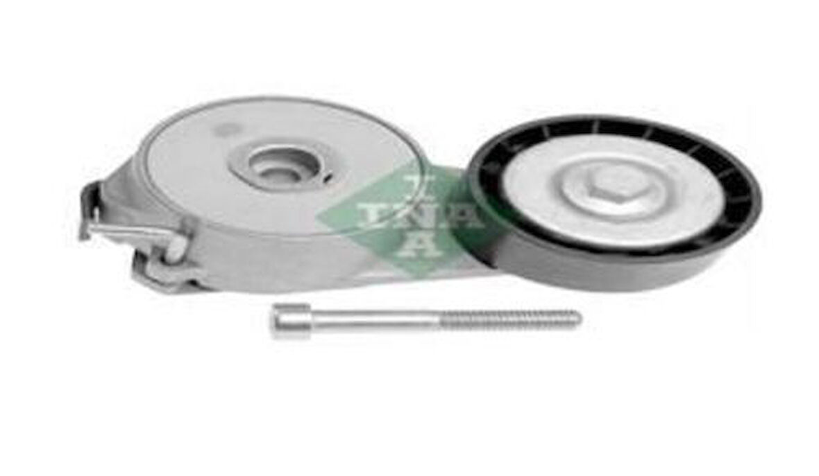 Ina 534006910 Alternatör Gergi Rulmanı Kutuklu Doblo Bravo II Lınea Idea Palıo Panda Albea Uno Alfa Mıto 1.2 1.4 Ford Ka 1.3 Tdcı 08 >