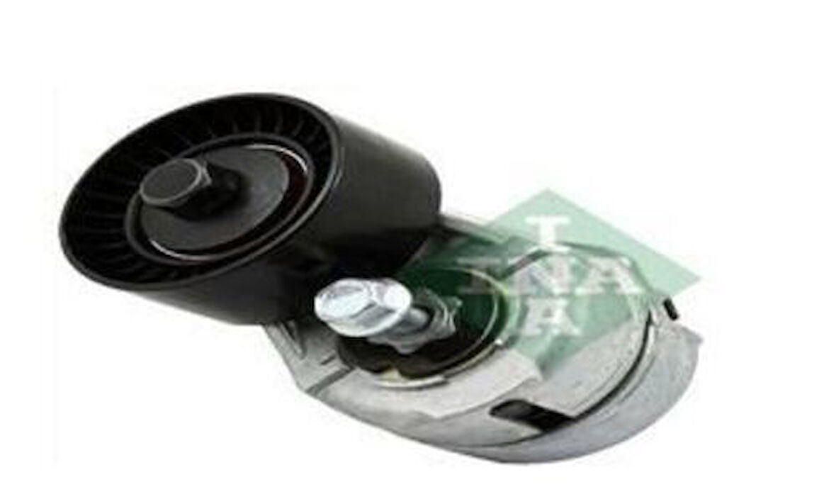 Ina 534010920 Alternatör Gergi Rulmanı Kutuklu Brava 1.4 1.4 12V Bravo Marea 1.4 1.8 1.9 Stılo 1.8 16V