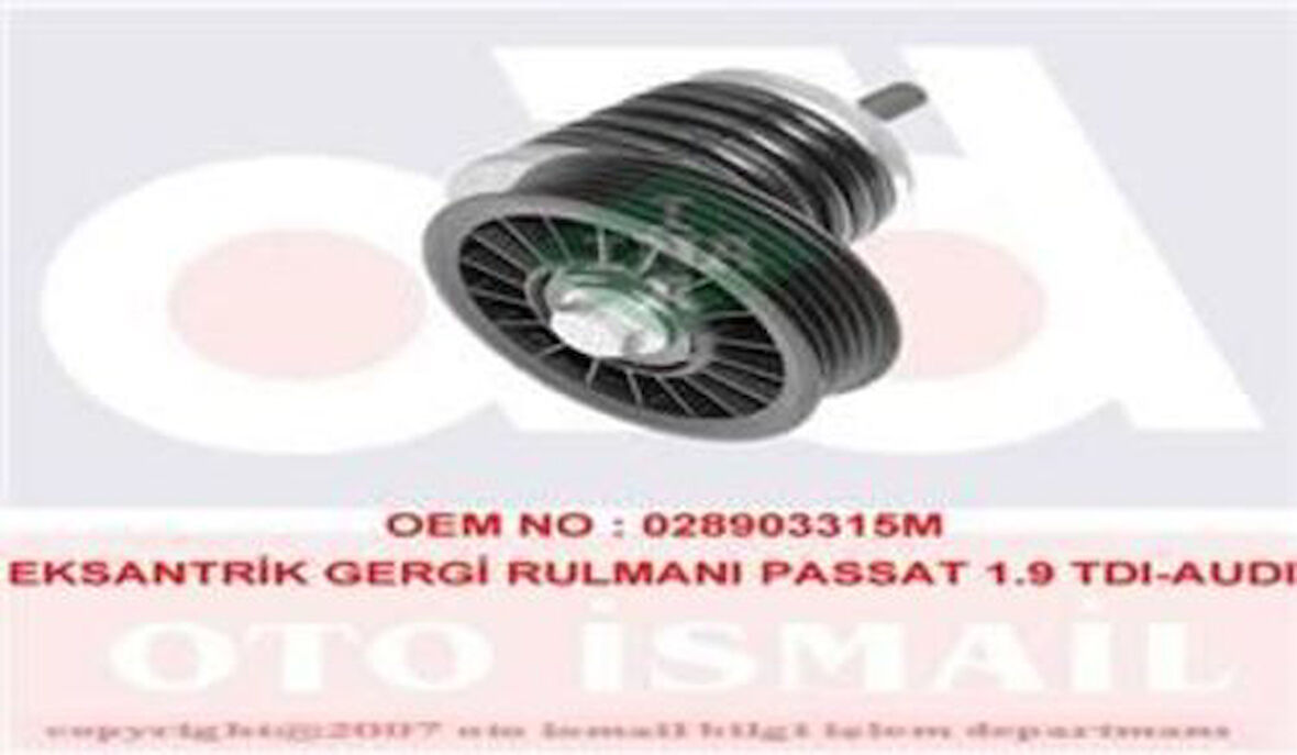 Ina 534018510 Alternatör Gergi Rulmanı Gerdırıcı Passat A4 A6 1.9Tdı Afn Avg