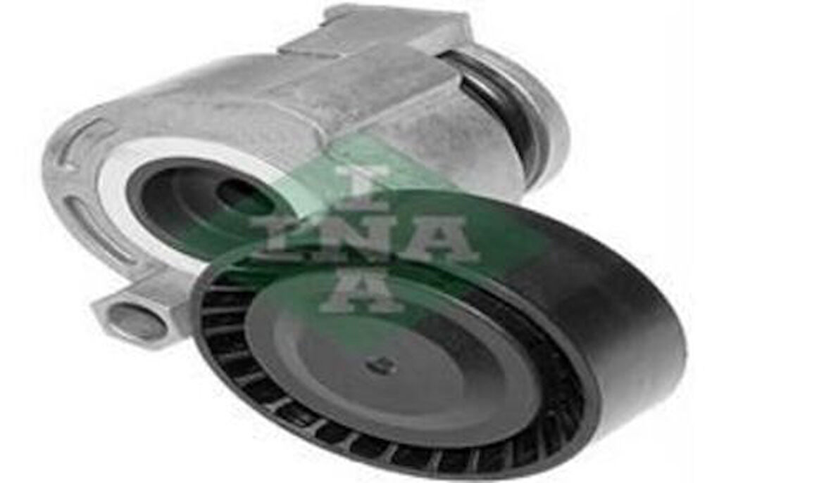 Ina 534026910 Alternatör Gergi Rulmanı Kutuklu Clıo II III Megane II III Kangoo Laguna III Logan 1.4 16V 1.5Dcı