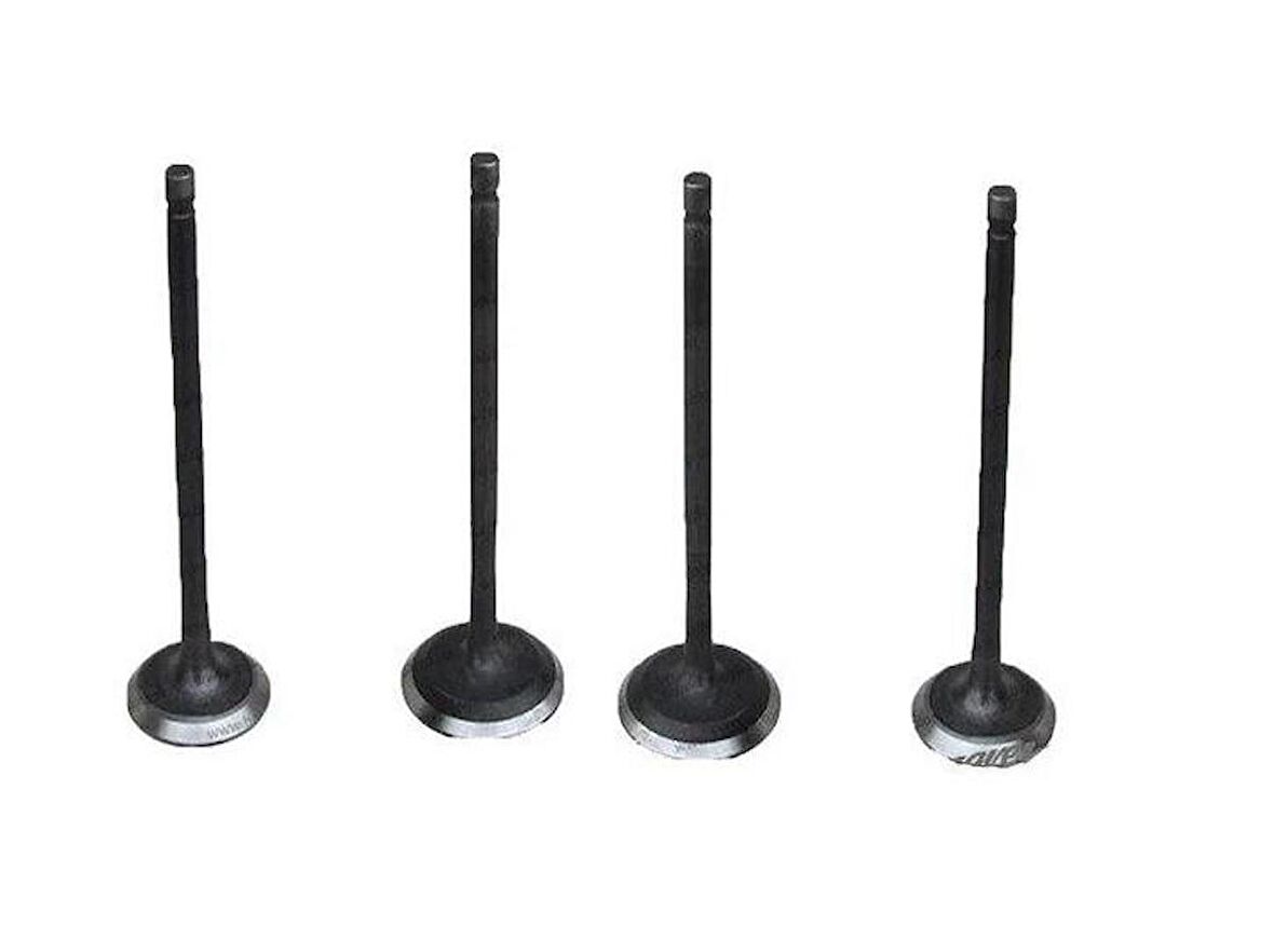 Mondıal Rx3 250i Evo Subap Takımı