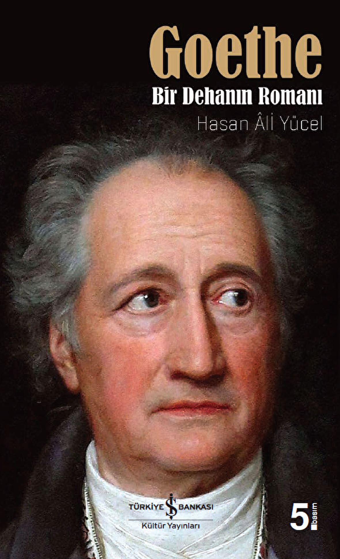 Goethe – Bir Dehanın Romanı