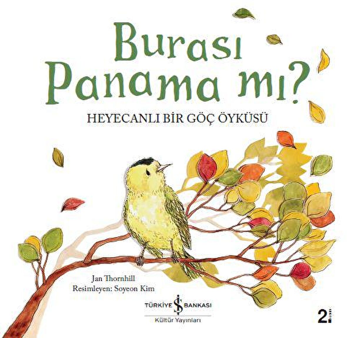 Burası Panama mı? Heyecanlı Bir Göç Öyküsü