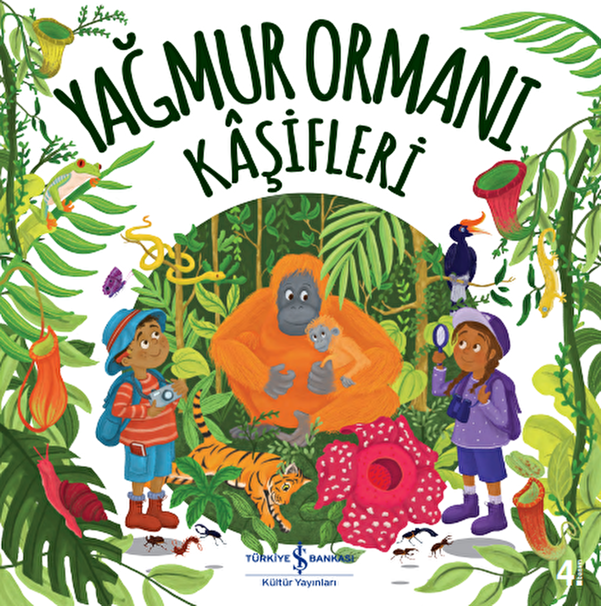 Yağmur Ormanı Kâşifleri