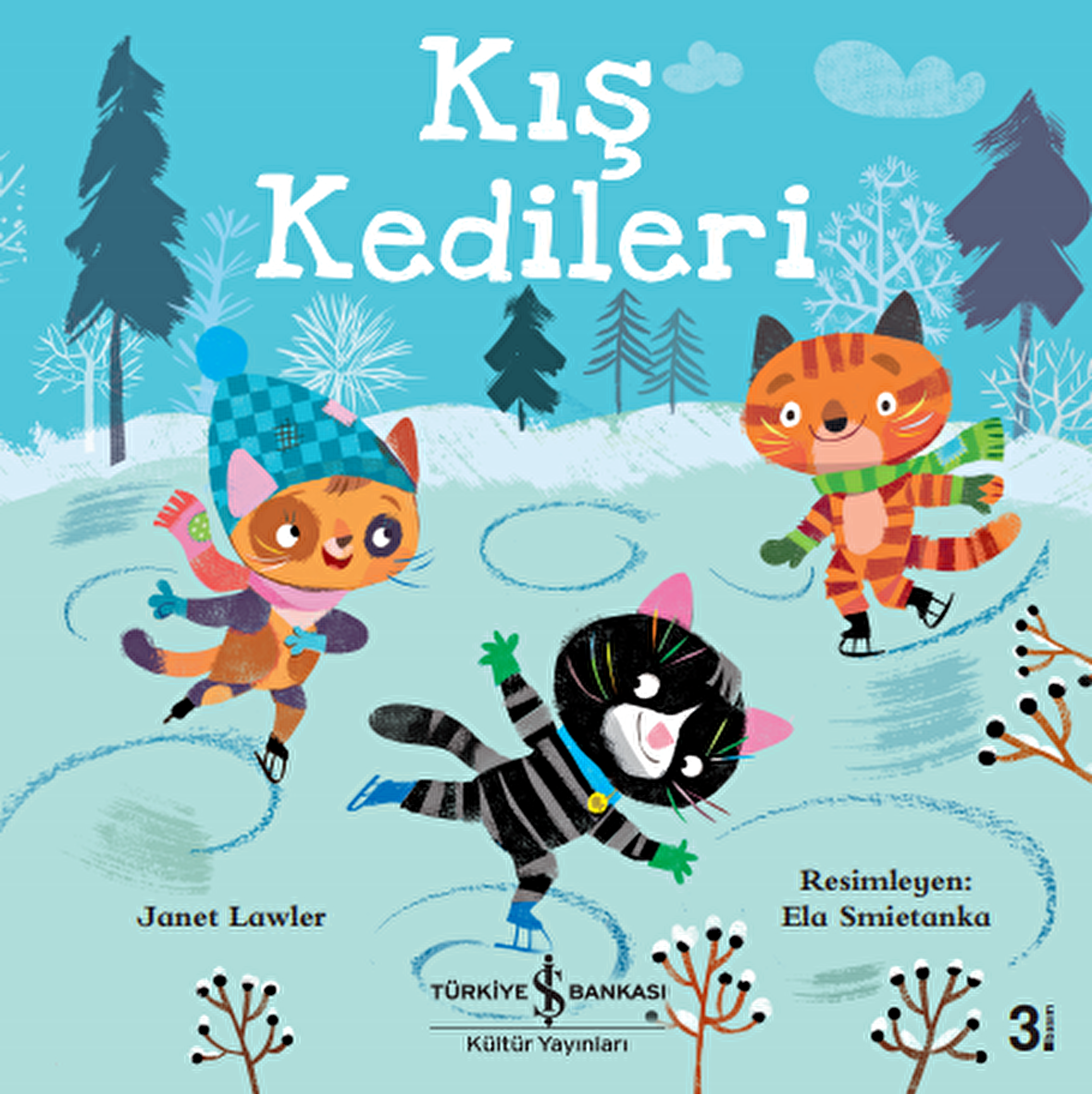 Kış Kedileri