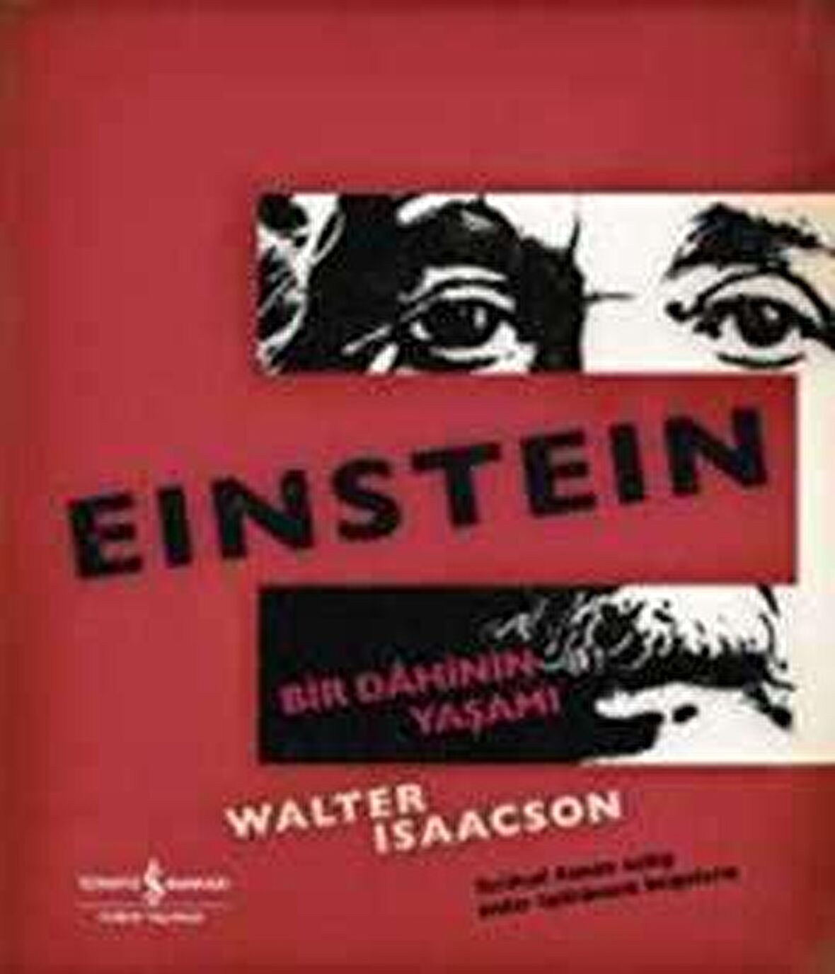 Bir Dâhinin Yaşamı Einstein