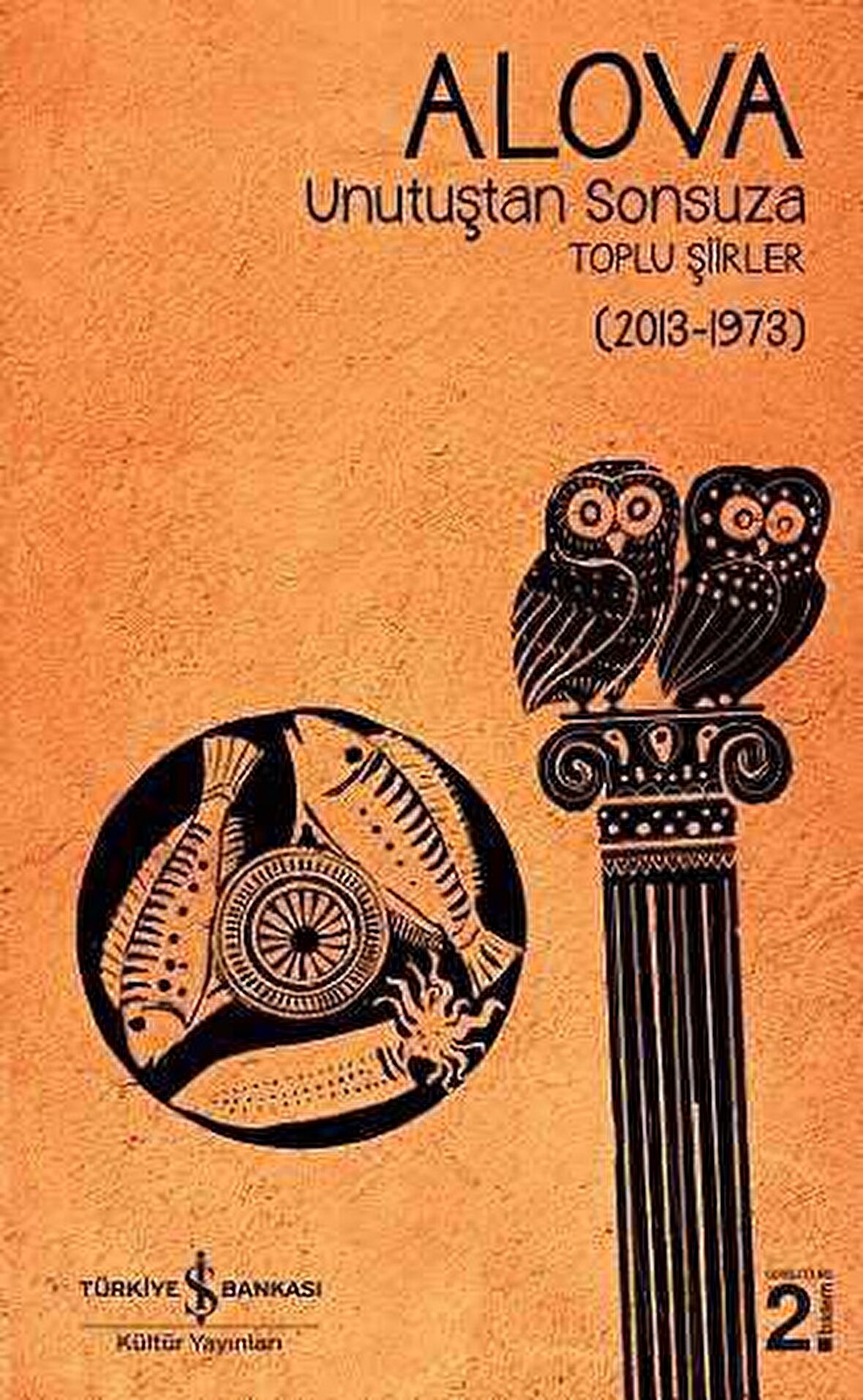 Unutuştan Sonsuza Toplu Şiirler (2013-1973)