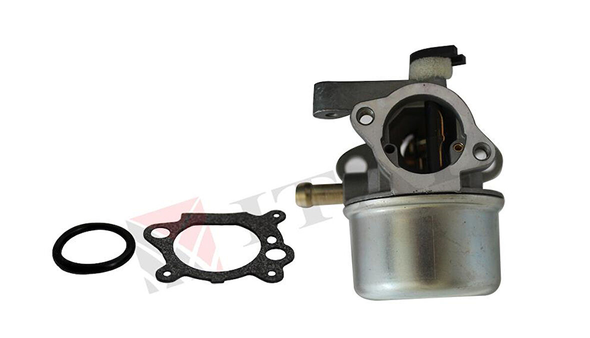 Briggs&Stratton Çim Biçme Karbüratör