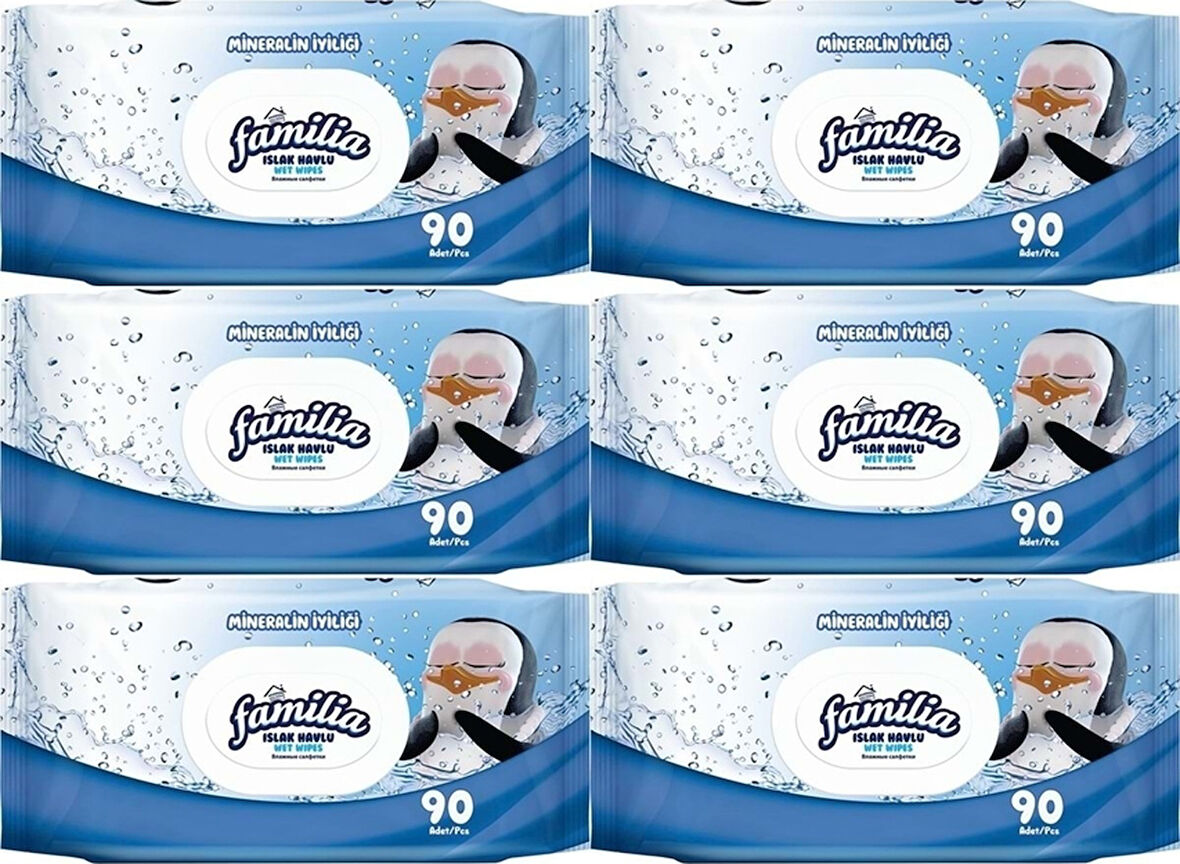 Familia Islak Havlu Mendil Mineralin Iyiliği 90 Yaprak Plastik Kapaklı 6Lı Set 540 Yaprak
