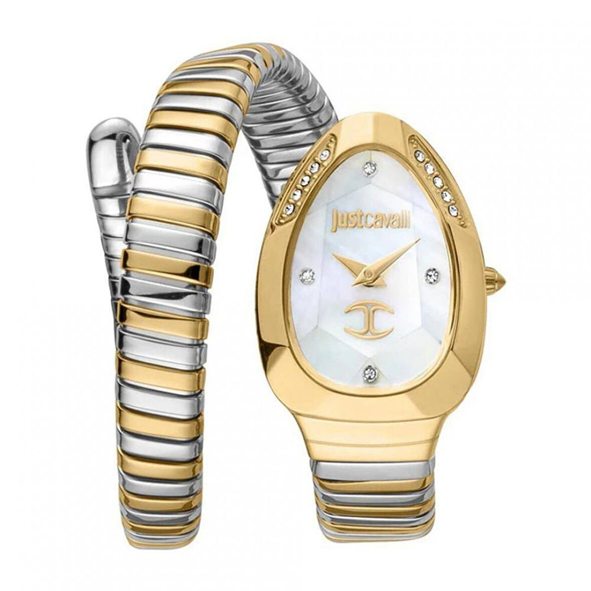 Just Cavalli JC1L229M0065 Kadın Kol Saati