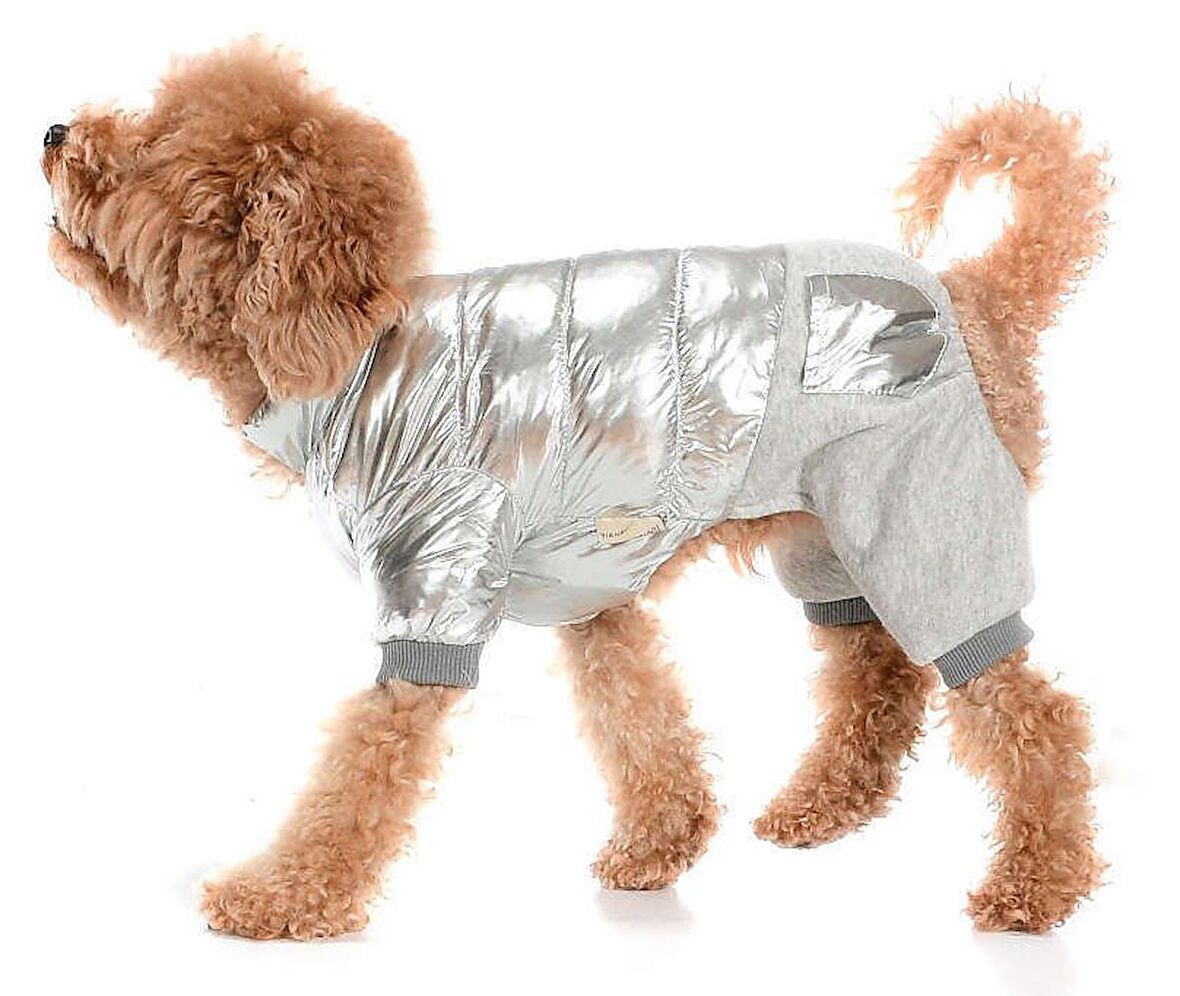 Küçük ve Orta Irk Köpek Paçalı Mont Orvar