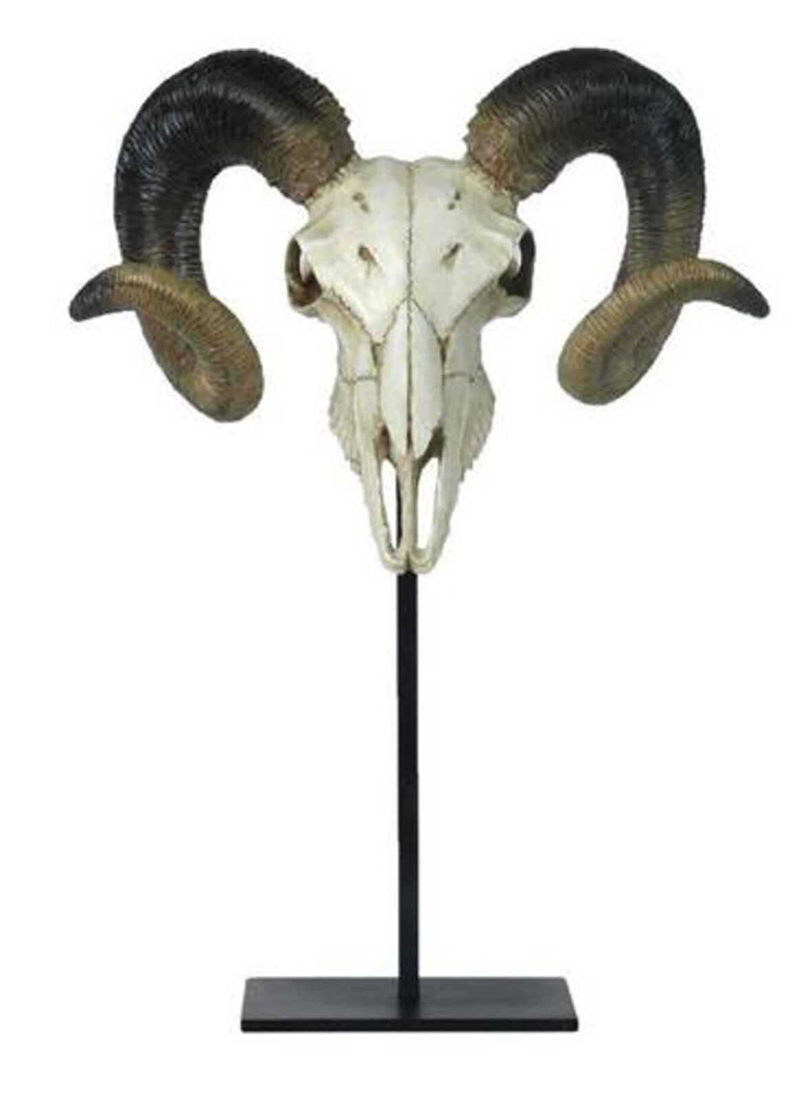 WISE Veronese Serisi-WISE BÜYÜK BOYNUZ-47*33*16 CM