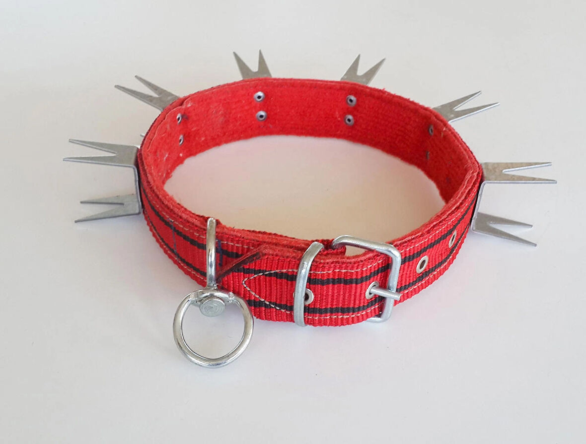 U Çivili 4 cm x 75 cm Köpek Tasması 