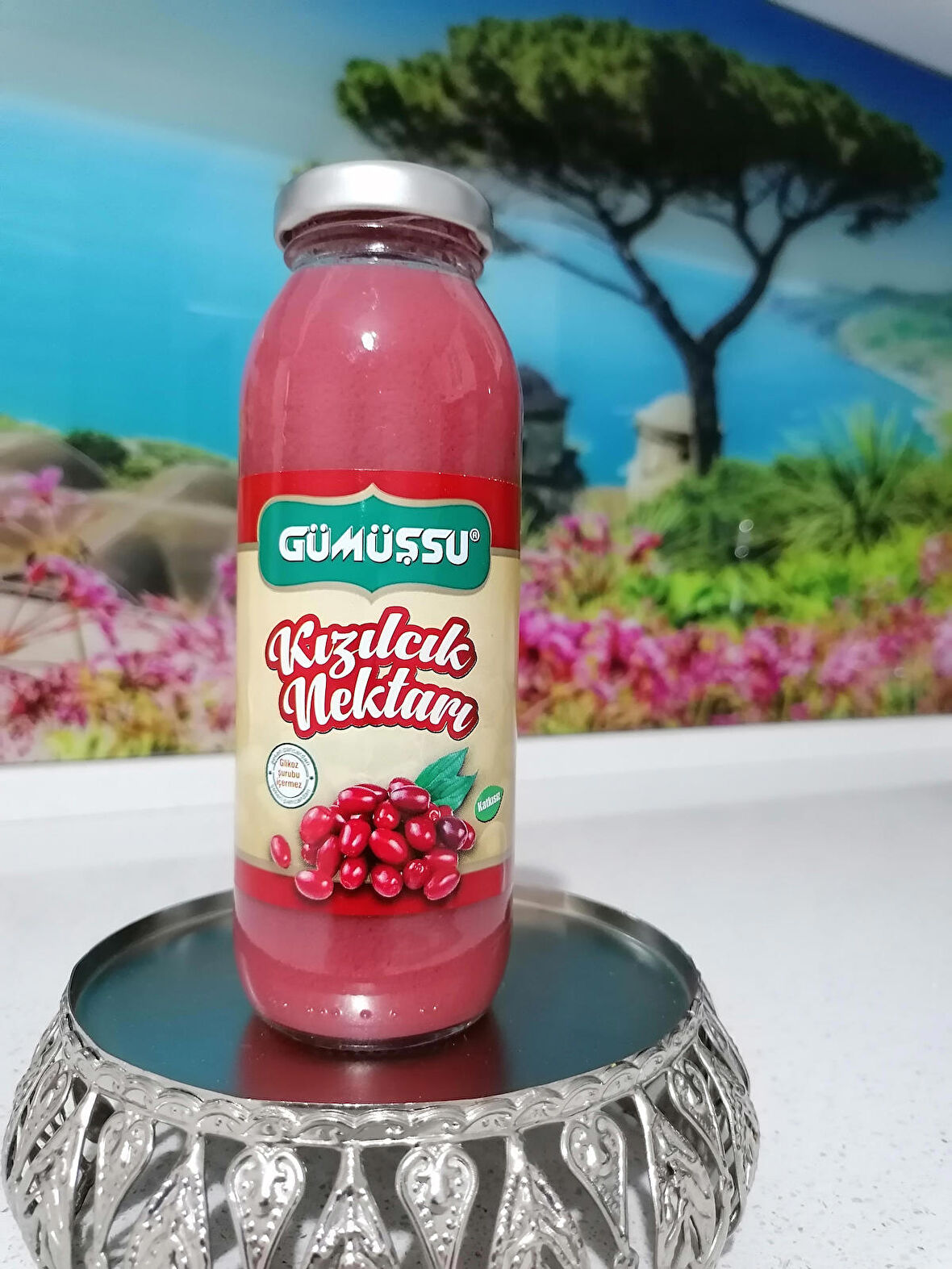 Kızılcık Nektarı 250 Ml (24'lü koli)