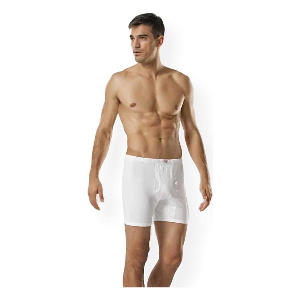Namaldı 107 Erkek Arjantin Boxer  6 Adet