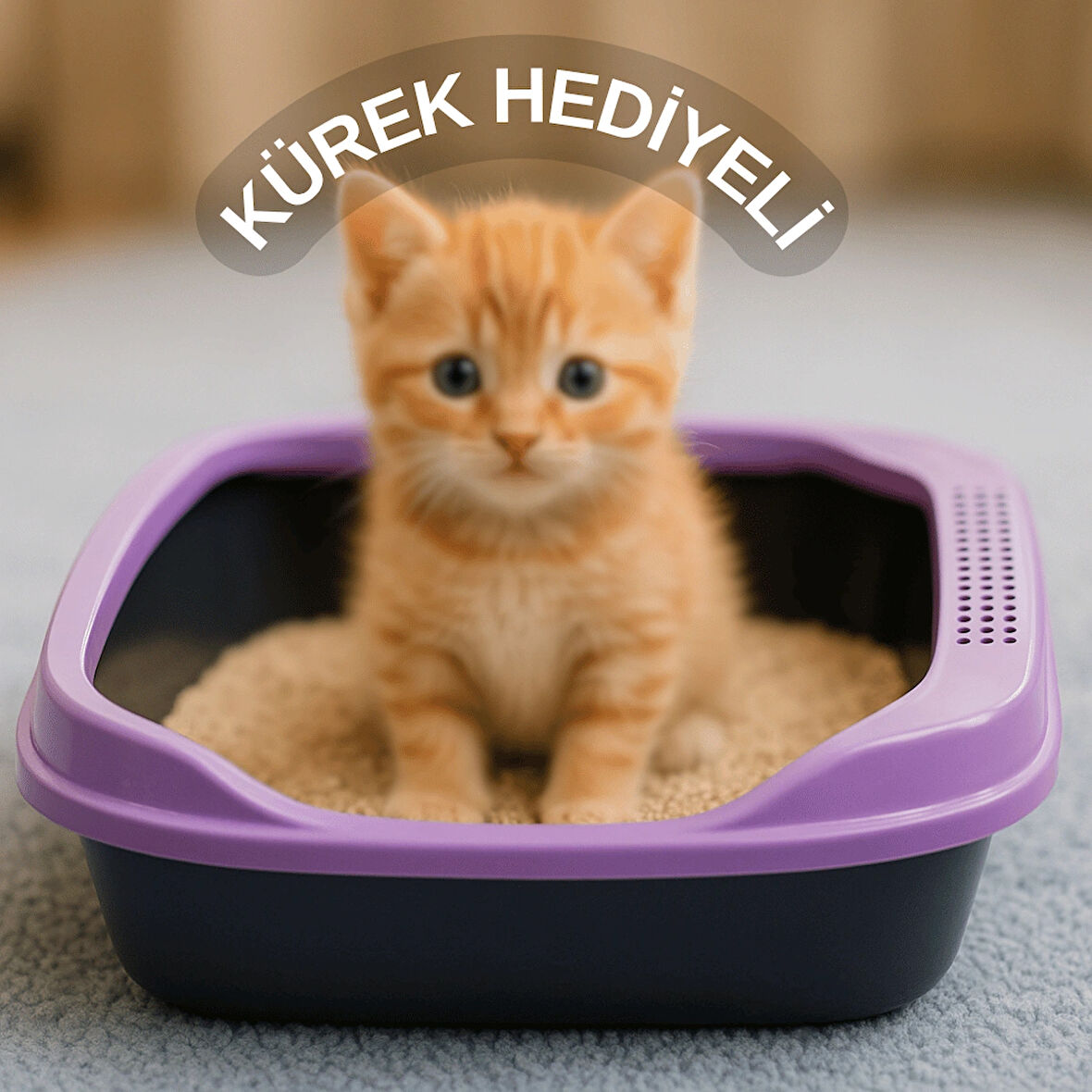 Kedi Tuvaleti Kürek Hediyeli Kedi Köpek Eğitim Tuvaleti Büyük Boy Tuvalet Kabı Mor Kedi Tuvalet Seti