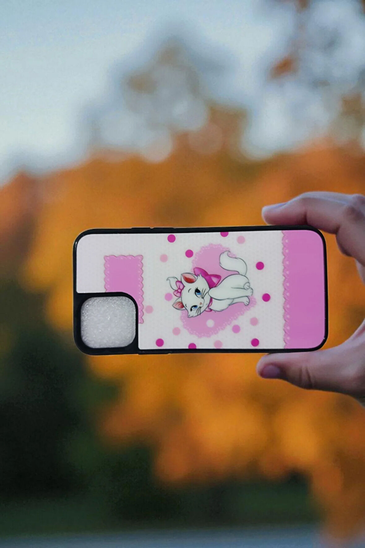 Apple iPhone 11 PRO Uyumlu Sevimli Kedi Marie Baskılı Silikon Disney Lansman Kılıf