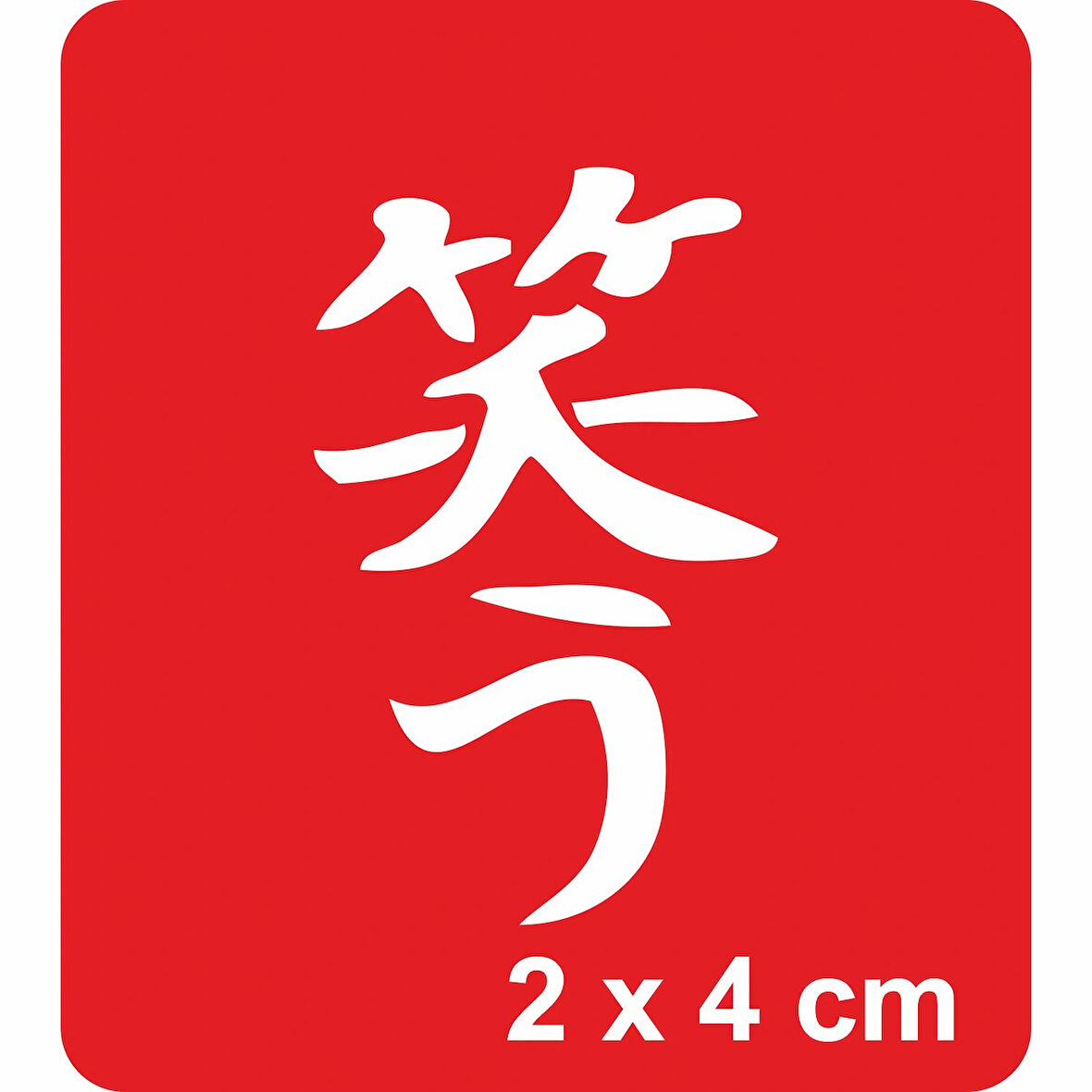 Gülmek Kanji Tattoo Geçici Dövme Şablonları Kına Kalıpları