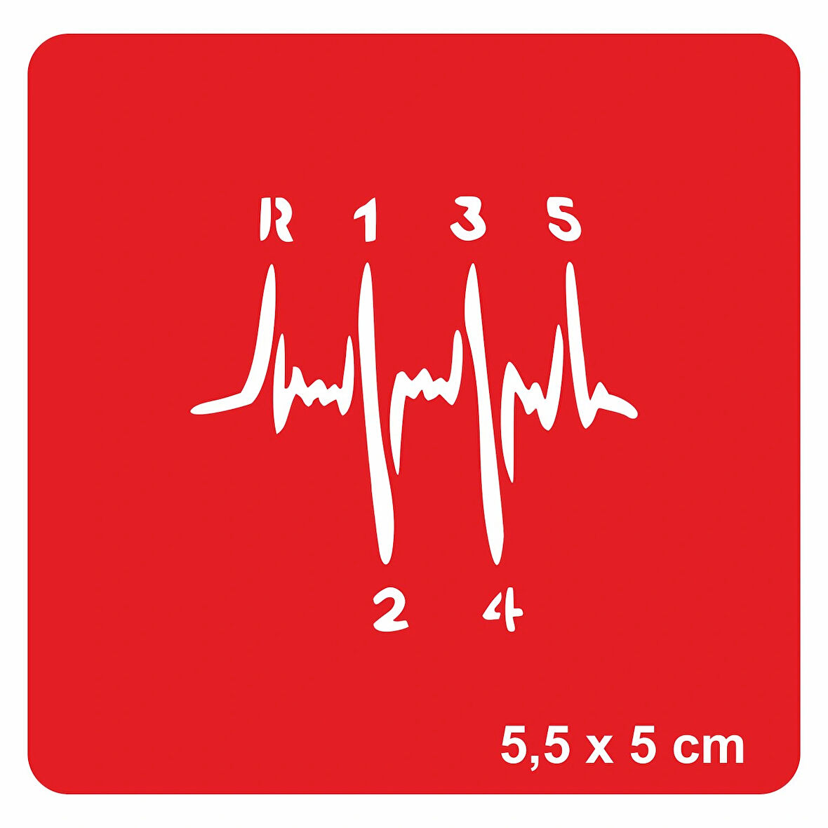 Hız Tutkusu Vites Tattoo Geçici Dövme Şablonları Kına Kalıpları