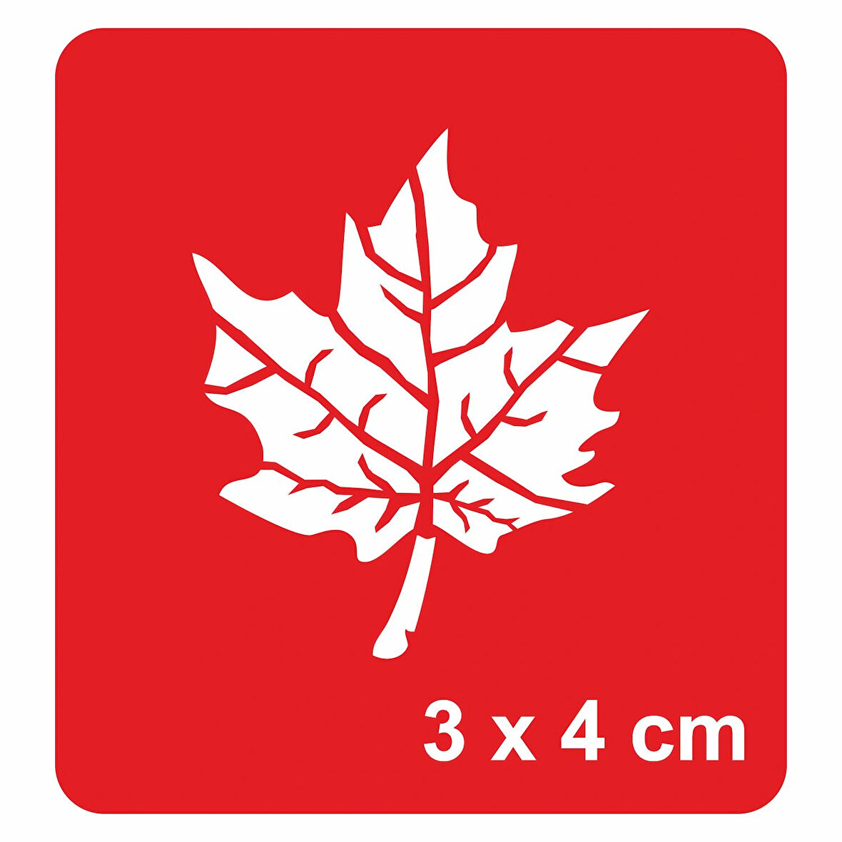 Çınar Yaprağı Tattoo Geçici Dövme Şablonları Kına Kalıpları