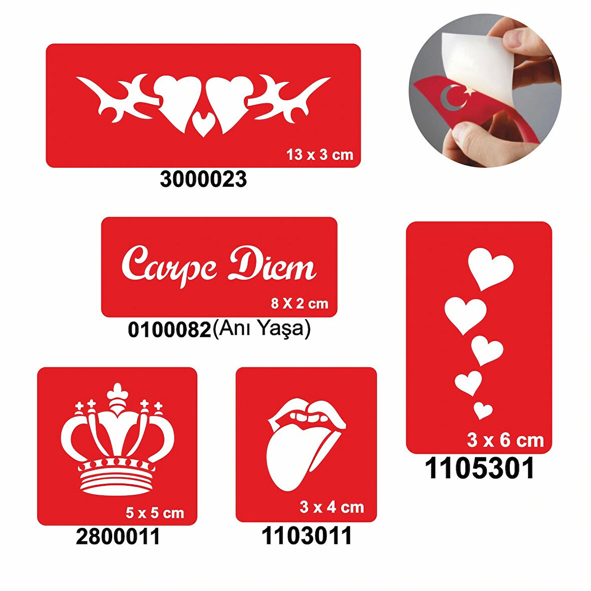 Anı Yaşa 5'li Set Geçici Dövme Kına Şablonu