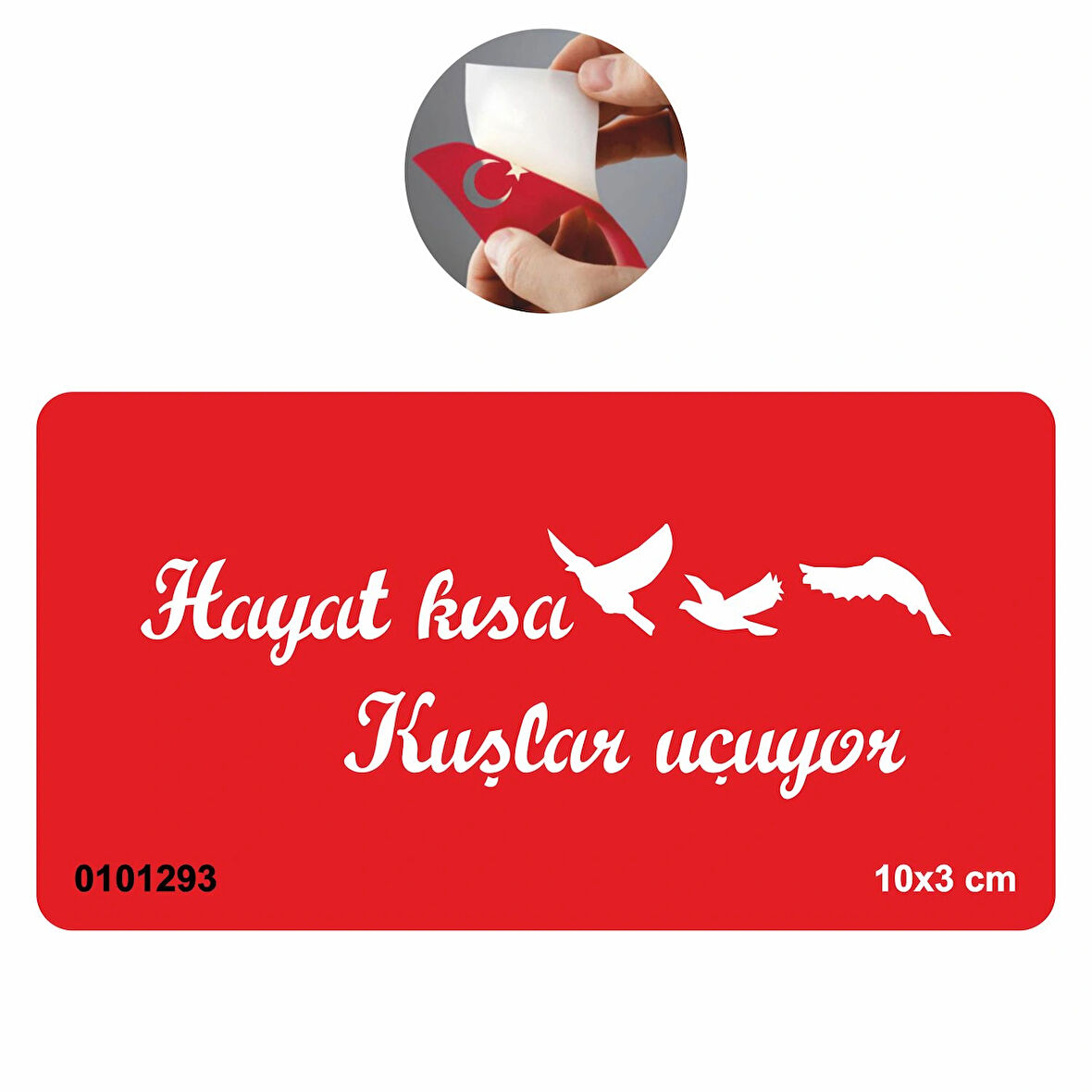 Cemal Süreyya  Tattoo Geçici Dövme Şablonları Kına Kalıpları